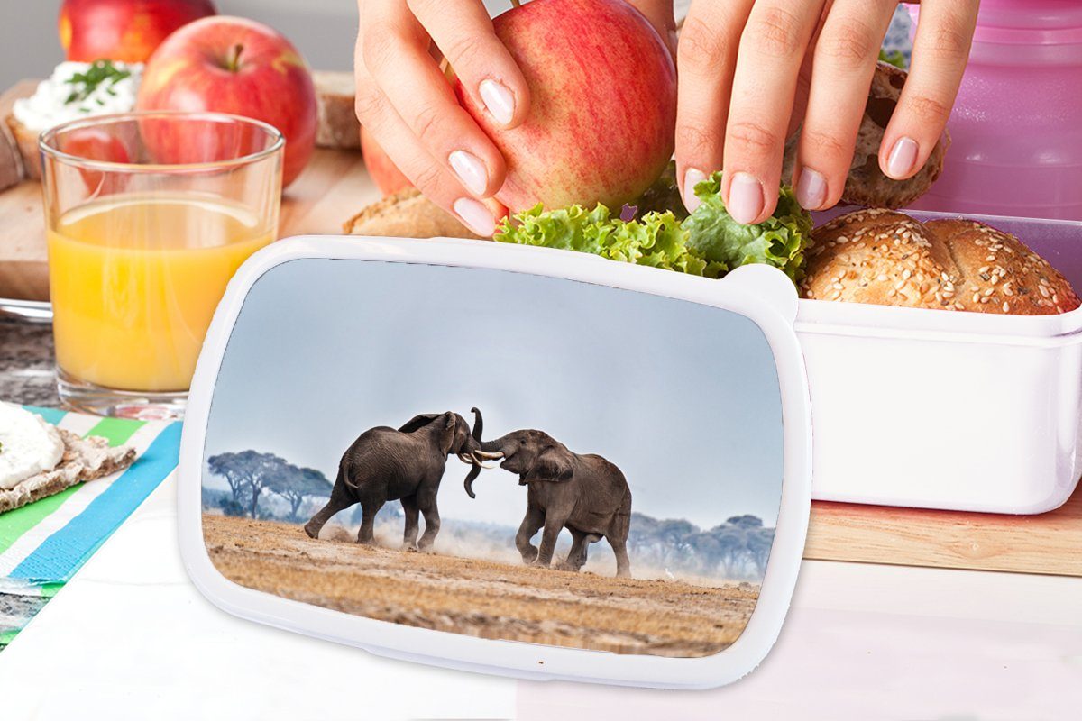 MuchoWow Mädchen und weiß Brotbox (2-tlg), Kinder Kunststoff, - - Natur, und Flachland für Erwachsene, Brotdose, Jungs Lunchbox für - Tiere Elefant