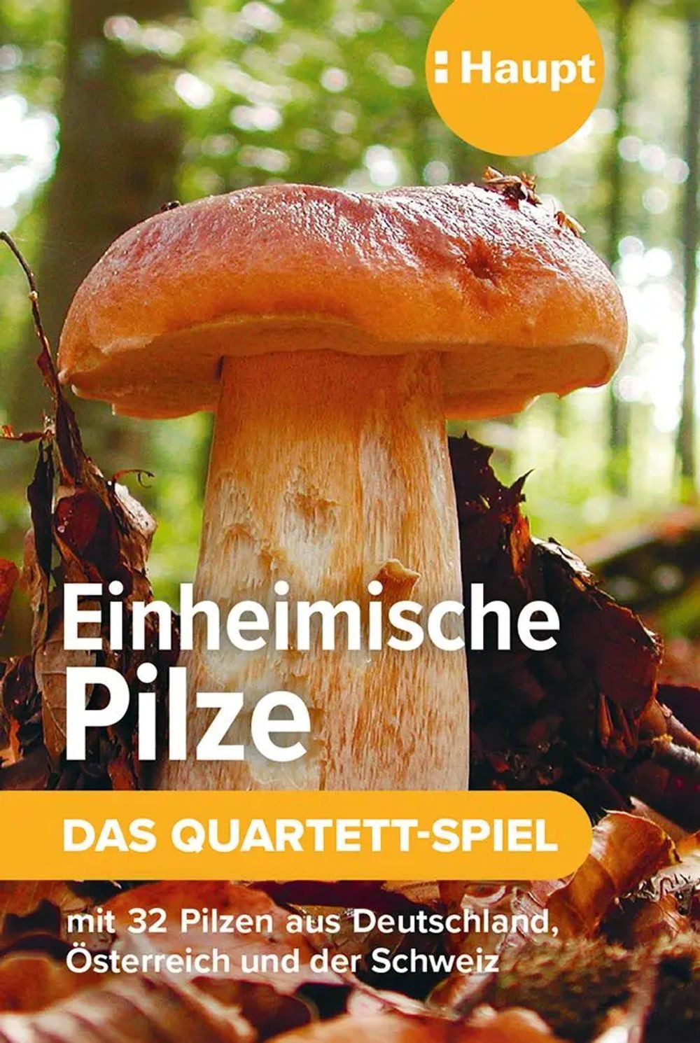 Haupt Spiel Einheimische Pilze - das Quartett-Spiel