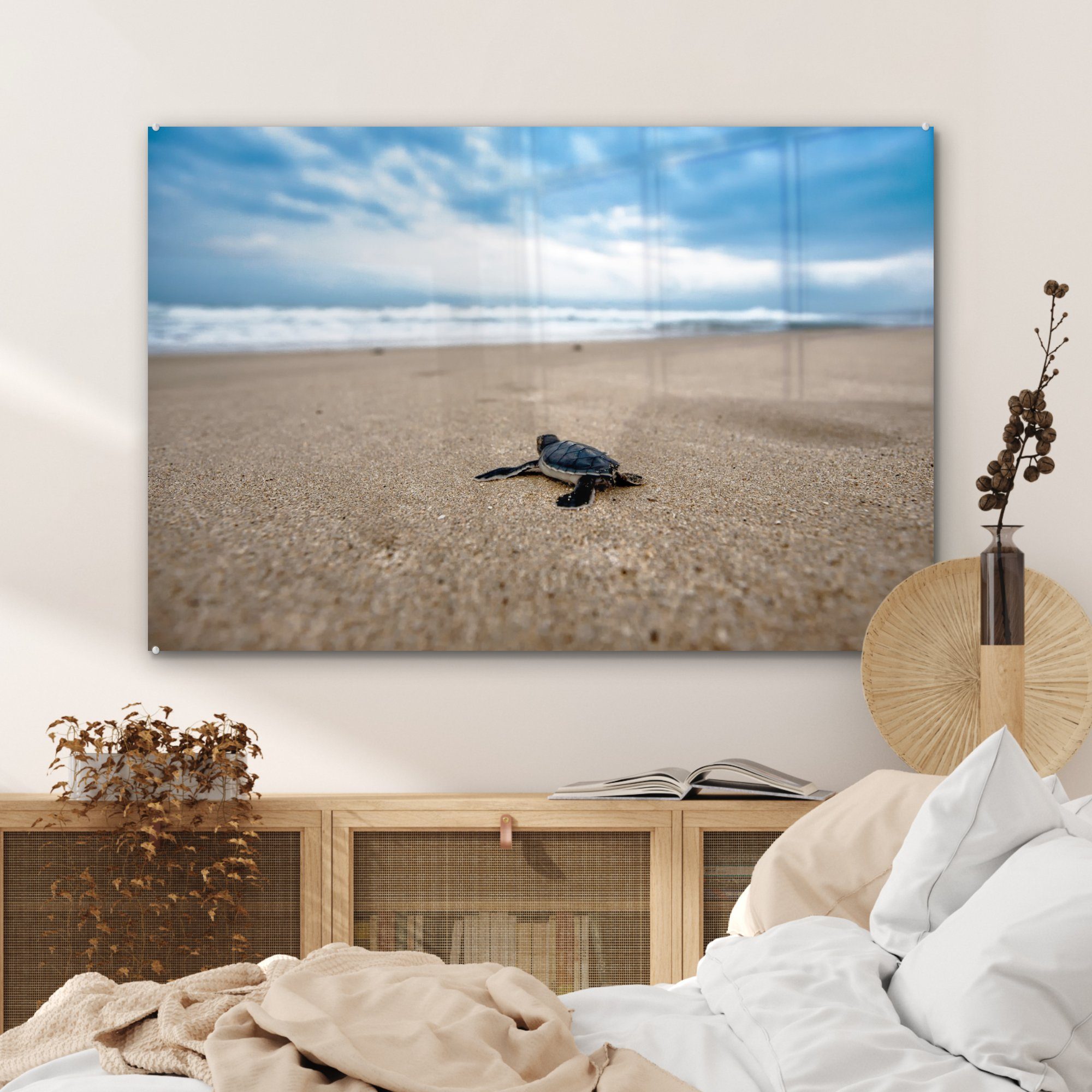 & - Strand Acrylglasbilder Schildkröte, - St), Meer MuchoWow Schlafzimmer (1 Acrylglasbild Wohnzimmer