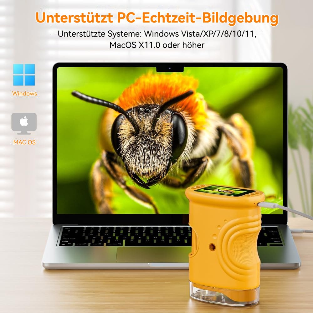 Lisabonde Digitales Handmikroskop 1000x Zoom mit 2,0" Display & 64GB Kindermikroskop (50x-1000x, Stufenloser 200x-1000x Zoom & 2,0 Zoll IPS-Display inkl. 64GB S – Bild 5 von 5