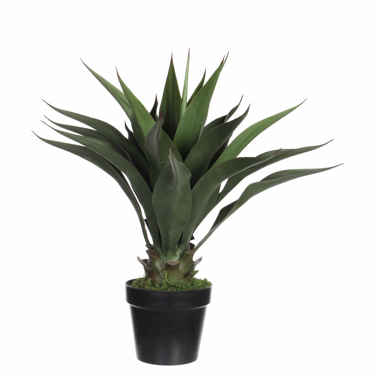 Kunstpflanze Mica künstliche Agave im Topf günstig online kaufen