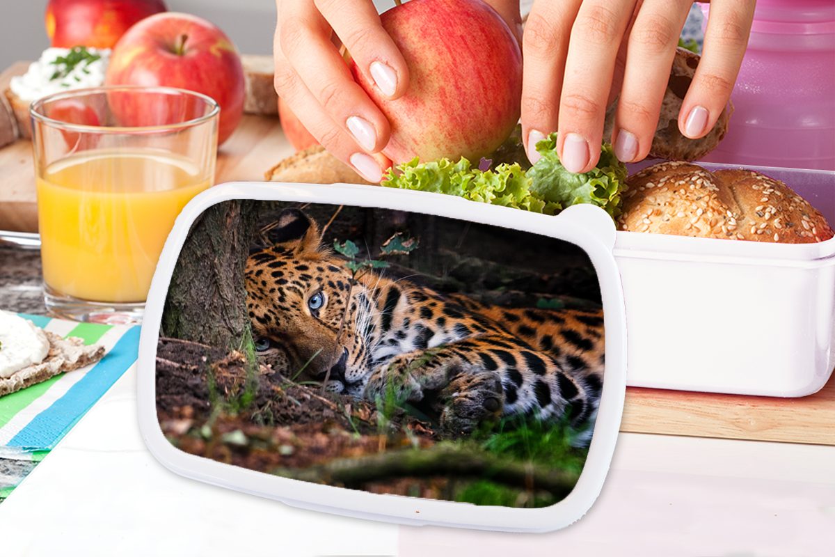 MuchoWow - Brotdose, Jungs Erwachsene, Brotbox Lunchbox weiß Kunststoff, für - (2-tlg), für und Baum Panther Kinder Dschungel, und Mädchen