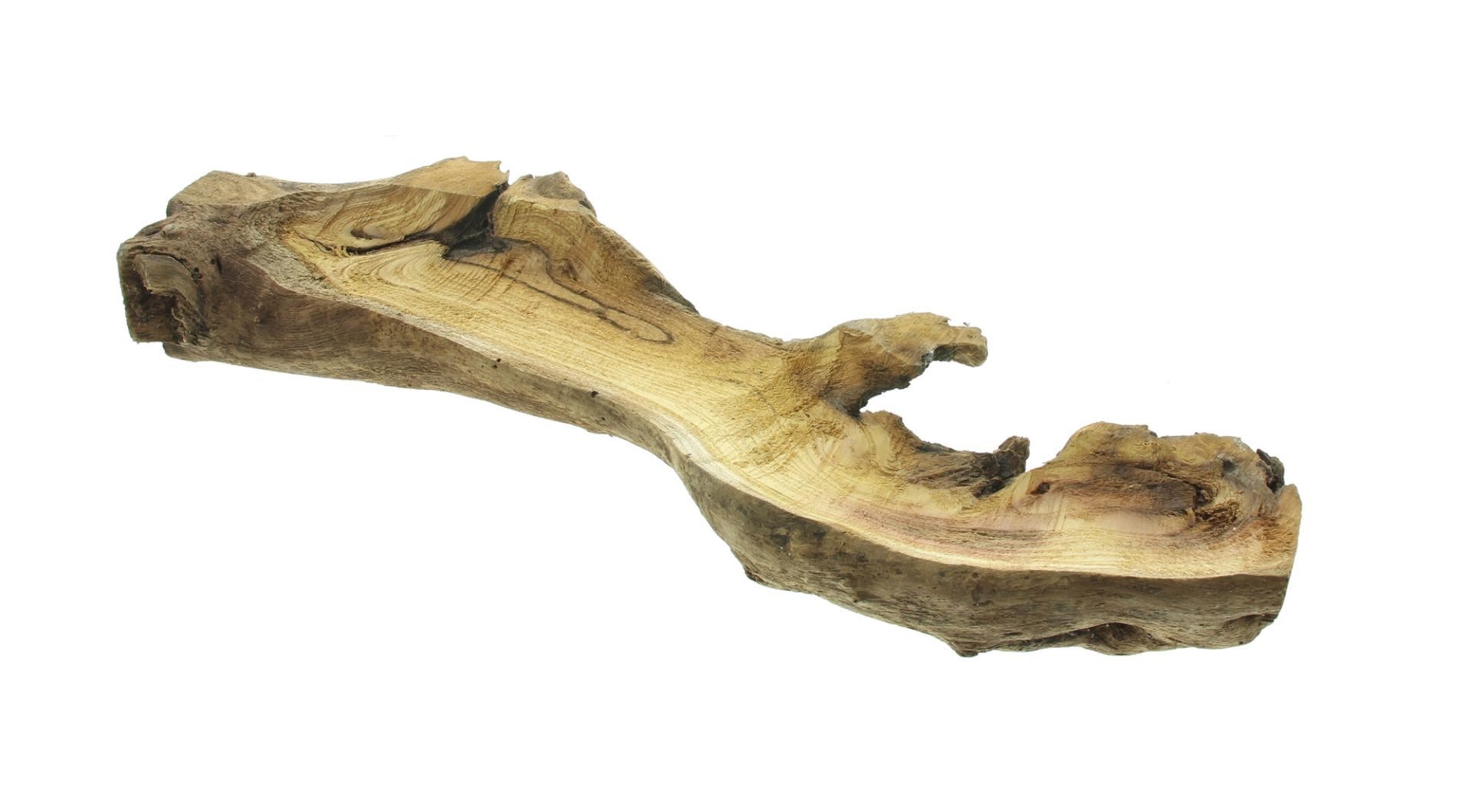 Dekoleidenschaft Dekoschale "Wurzel" Holzdeko 50 cm lang, rustikal Tischdeko, natur Holzschale, aus Wurzelholz