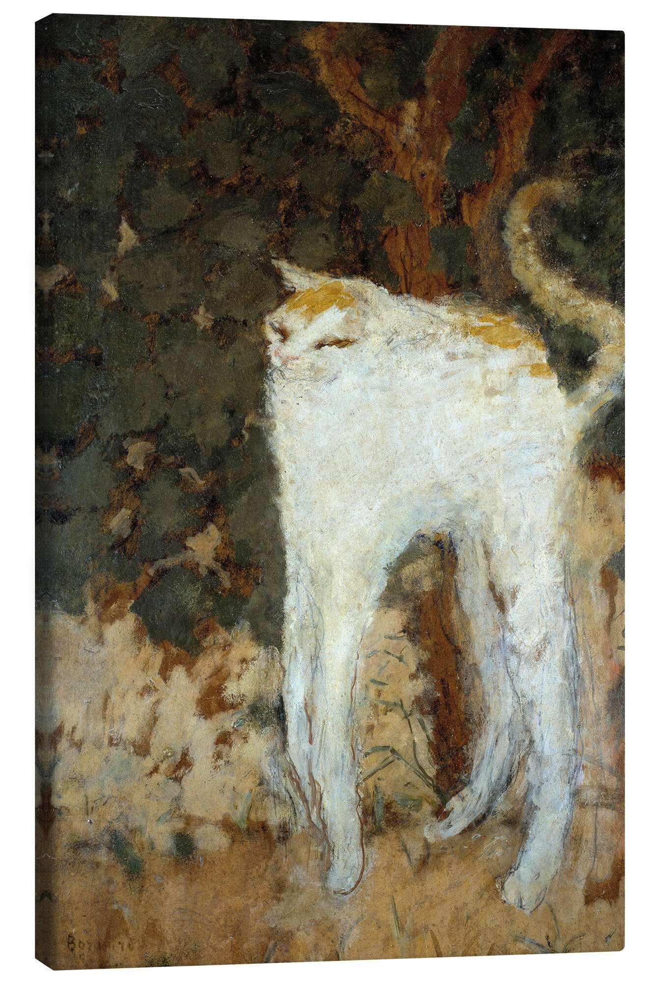 Leinwandbild Pierre Bonnard