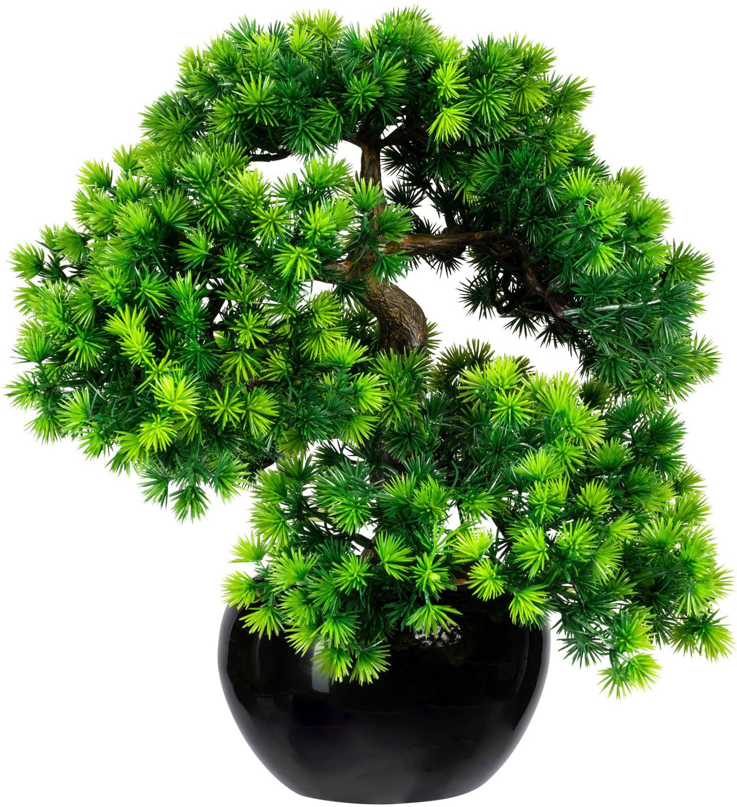 Kunstbonsai Bonsai Lärche Bonsai Lärche, Creativ günstig online kaufen