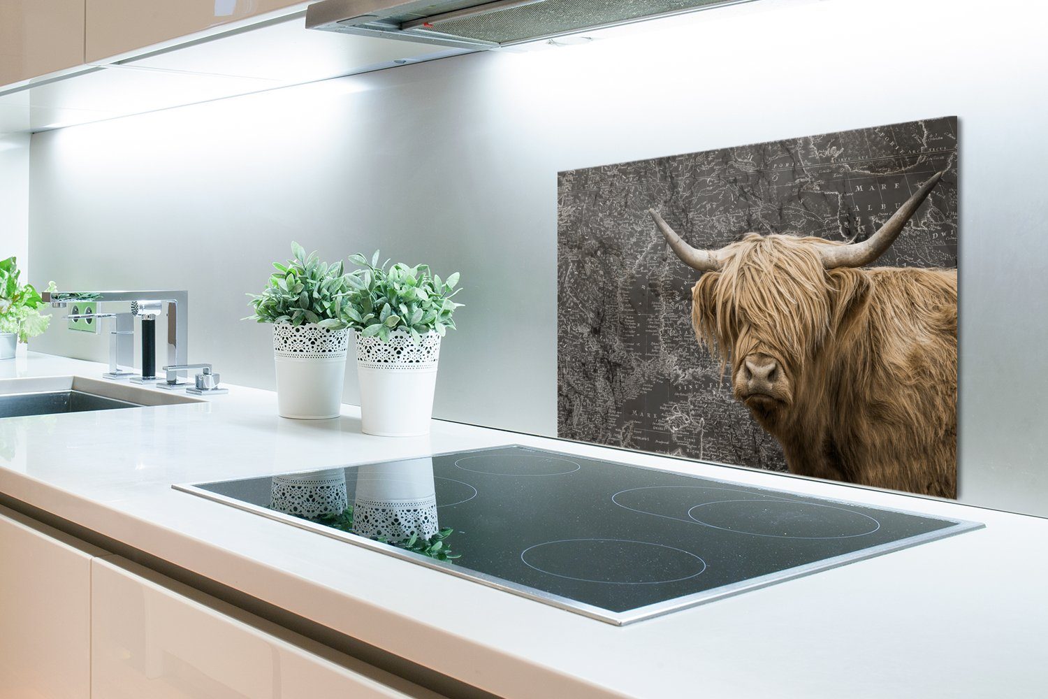 Schottische küchen cm, (1-tlg), - aus Küchenrückwand 60x40 Highlander Weltkarte Wandschutz, MuchoWow Temperaturbeständig Kuh, - Herdblende