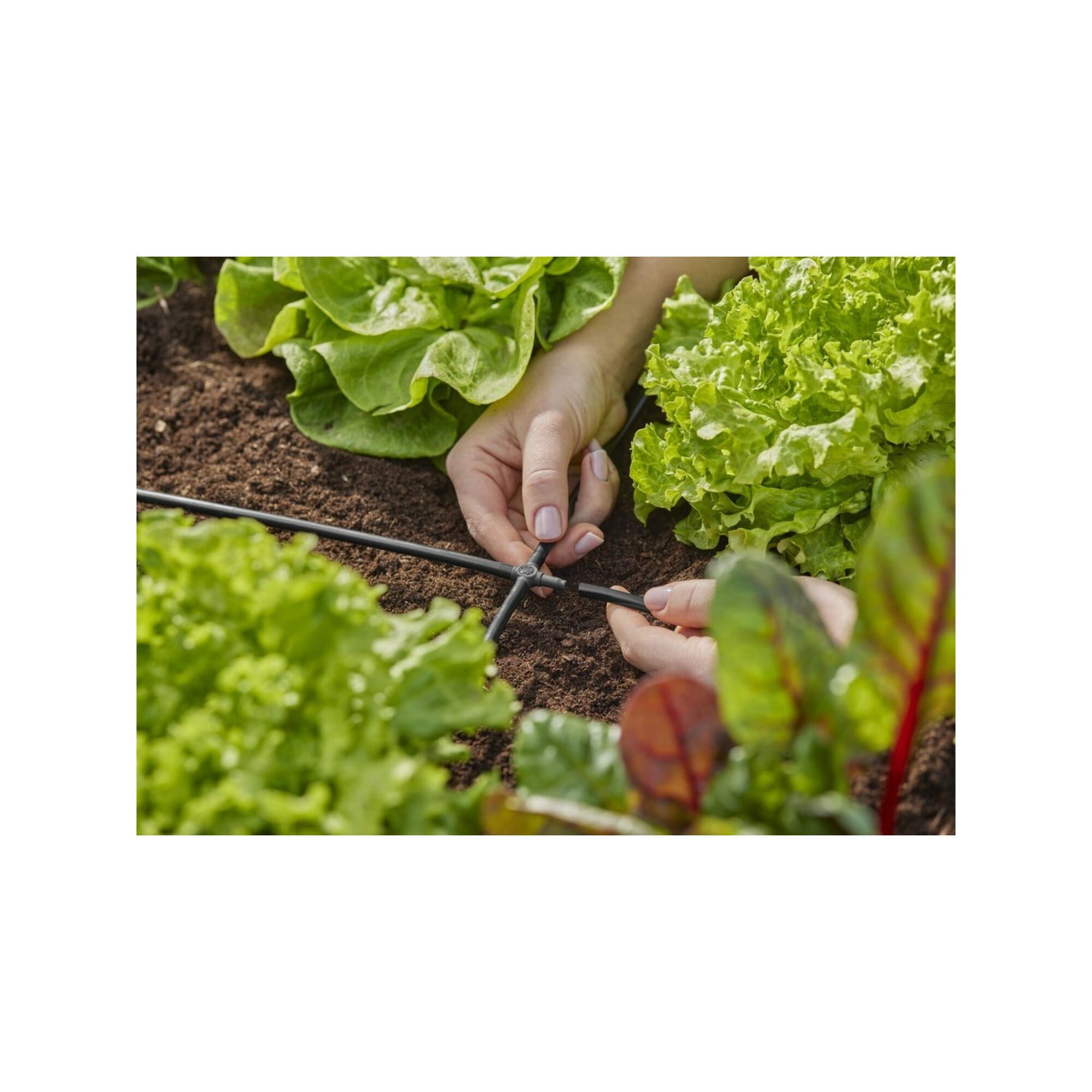GARDENA Bewässerungscomputer Gardena Kreuzstück 4,6 mm (3/16) Inhalt: 10 Stück MDS