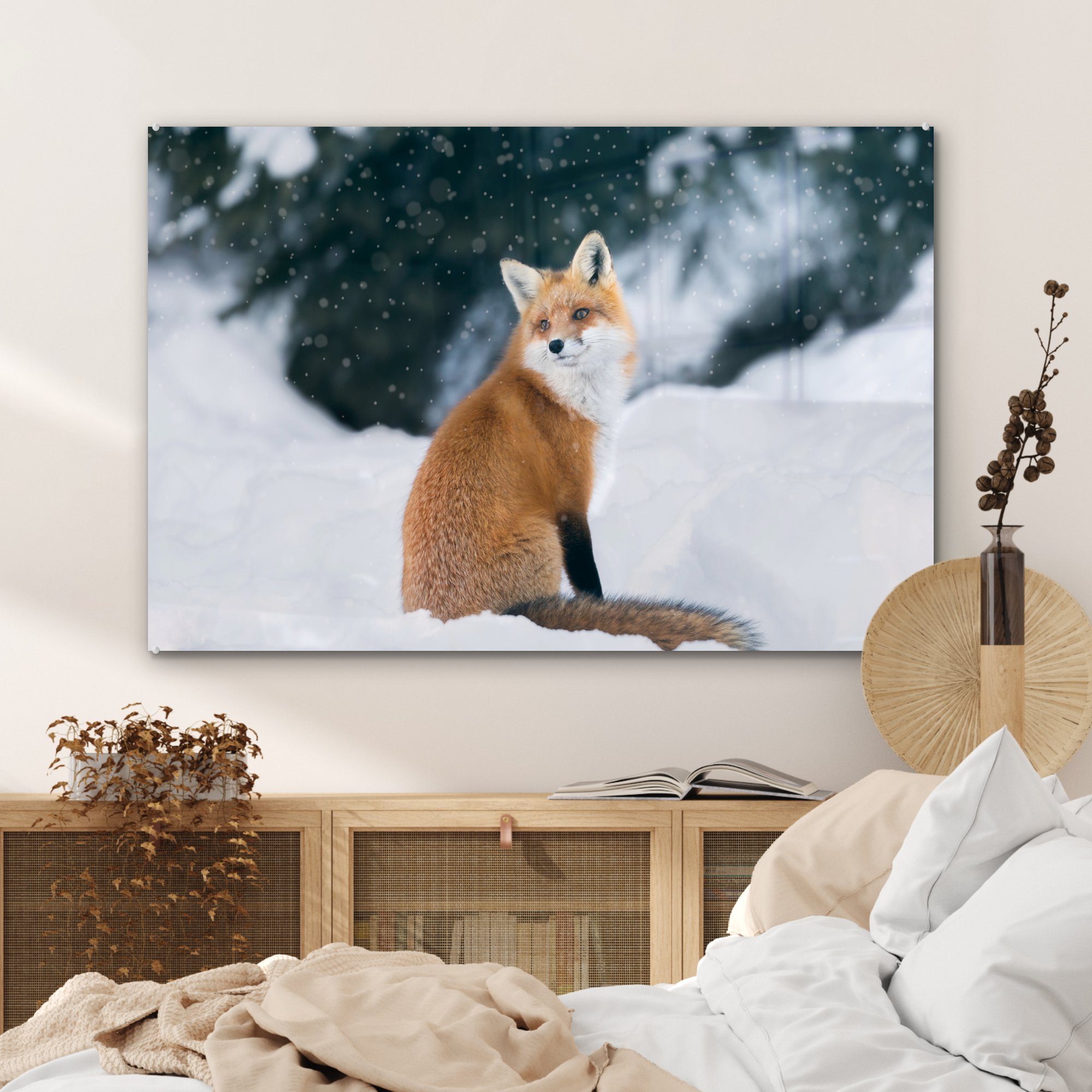 - - Kanada, Acrylglasbild St), - Schnee Schlafzimmer Fuchs MuchoWow Wohnzimmer (1 Acrylglasbilder Tier &