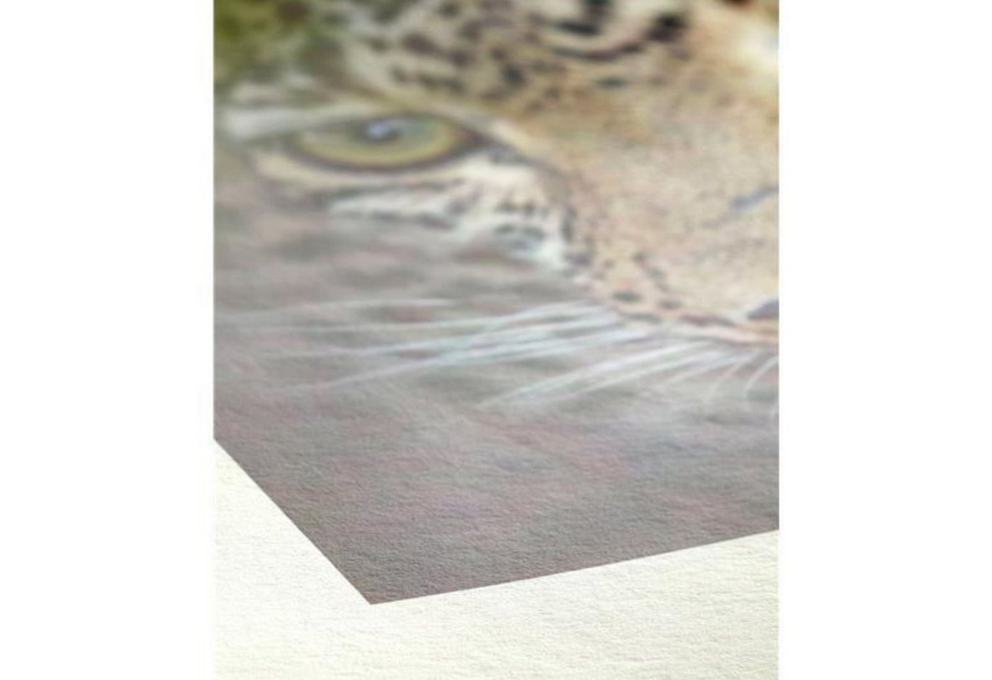 Thumbnail - Hahnemühle Fotopapier Hahnemühle Bamboo FineArt Inkjet-Papier - 290 g/m² - DIN A3 - 25 Blatt