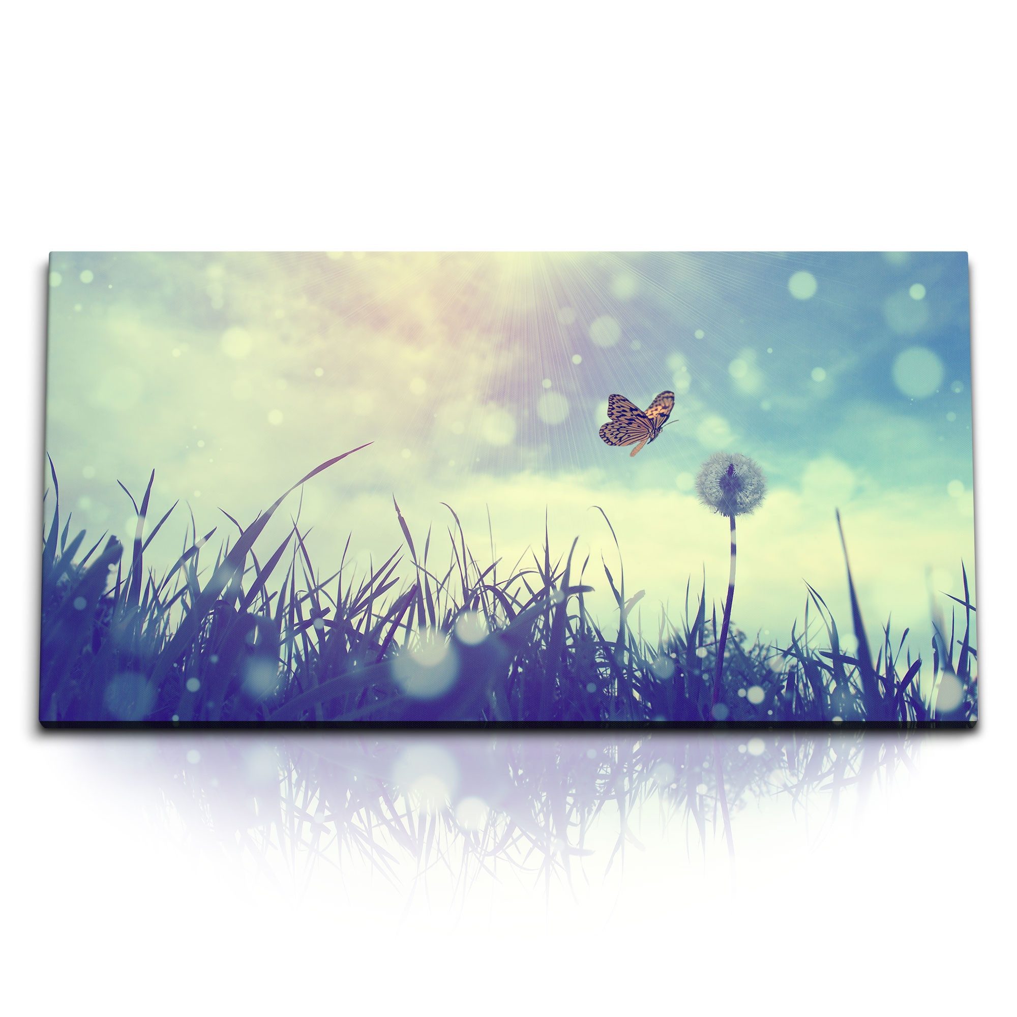 Leinwandbild Kunstdruck Bilder 120x60cm Sommerwiese Schmetterling Sonnenschein Somm