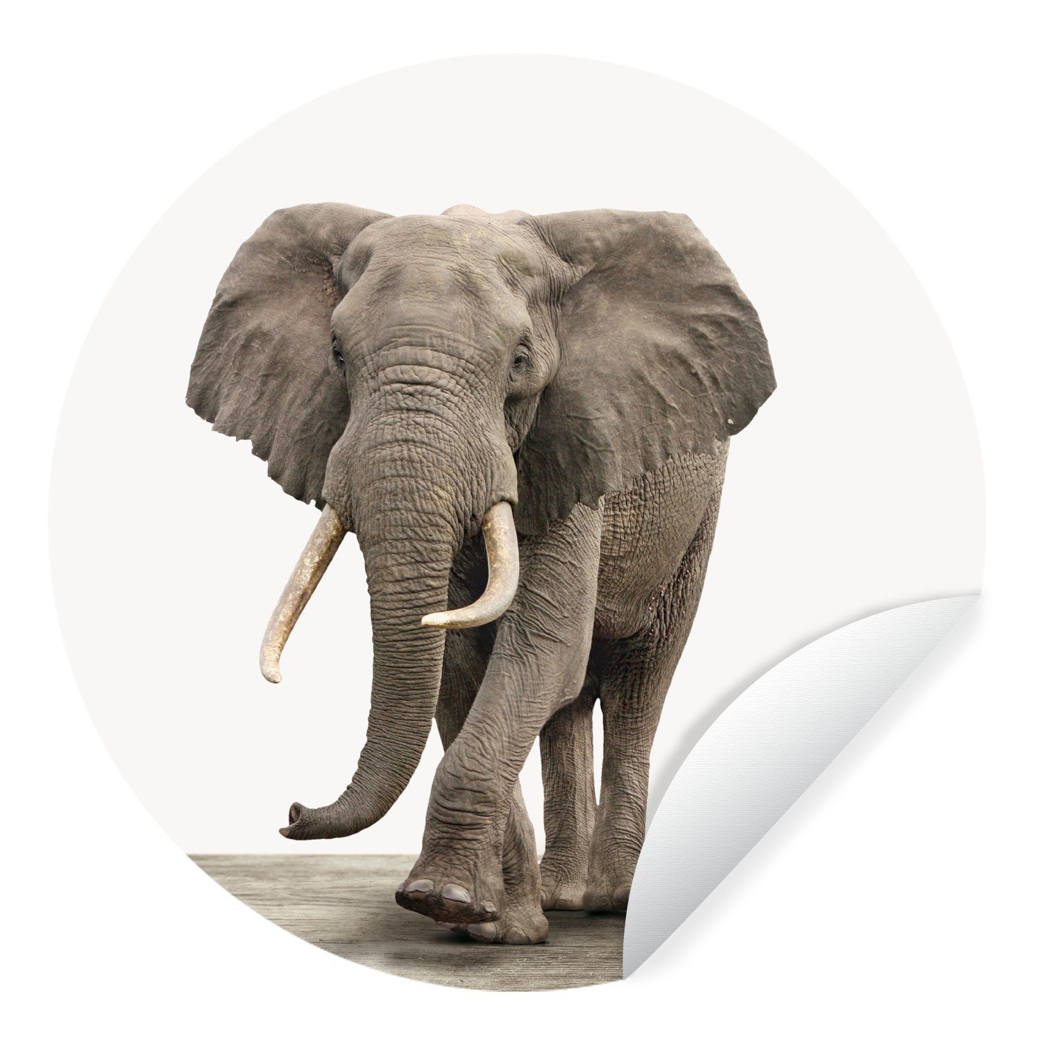 MuchoWow Wandsticker Tiere - Elefant - Grau (1 St), Tapetenkreis für Kinderzimmer, Tapetenaufkleber, Rund, Wohnzimmer