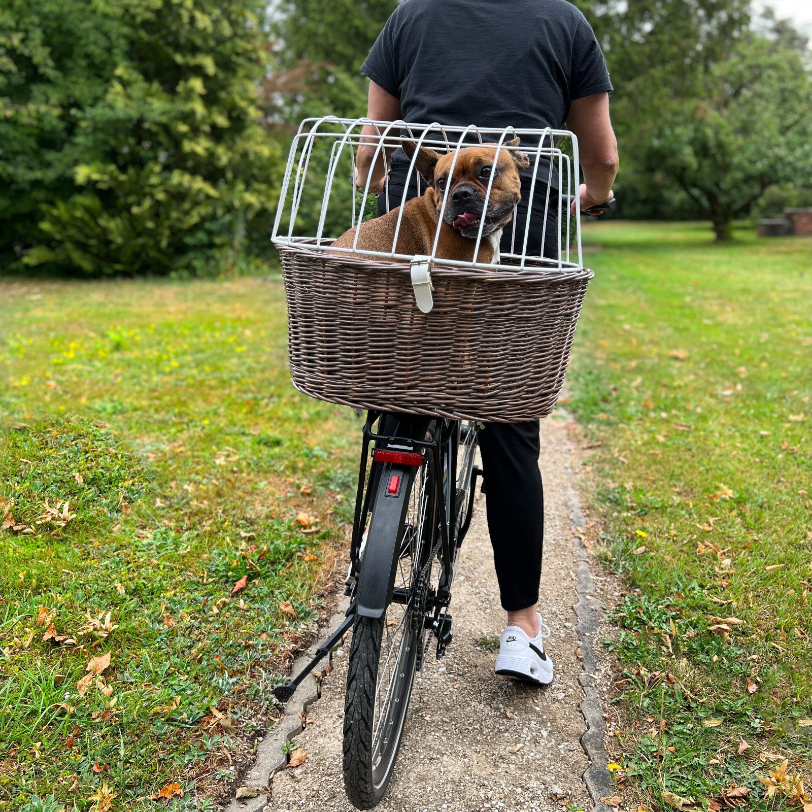 Aumüller Tierfahrradkorb Fahrrad-Tierkorb mit Halter, L: 52 cm, Gepäckträgermontage, Vintage...