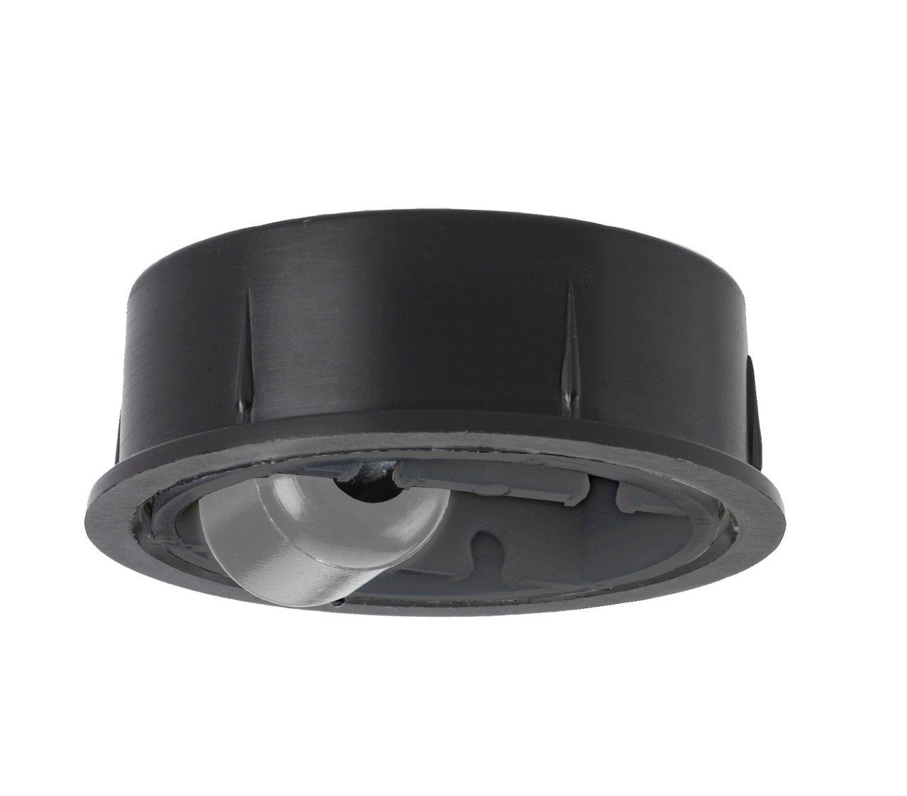 Dörner + Helmer Möbelrolle Bohrsenkrolle 16,5 x 24 mm, Tragkr. 35 kg