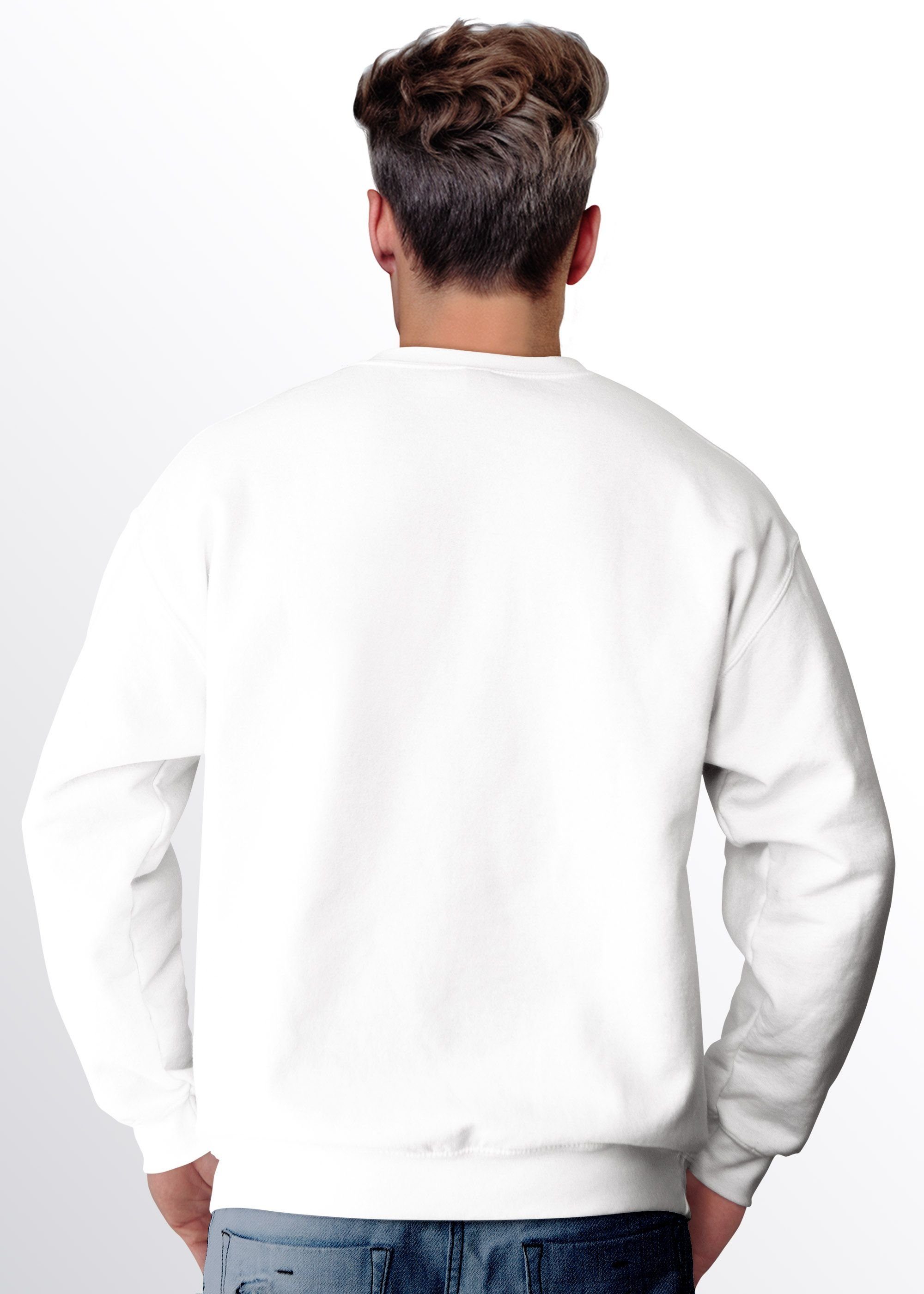 Neverless Sweatshirt Sweatshirt Herren Dinosaurier Aufdruck günstig online kaufen