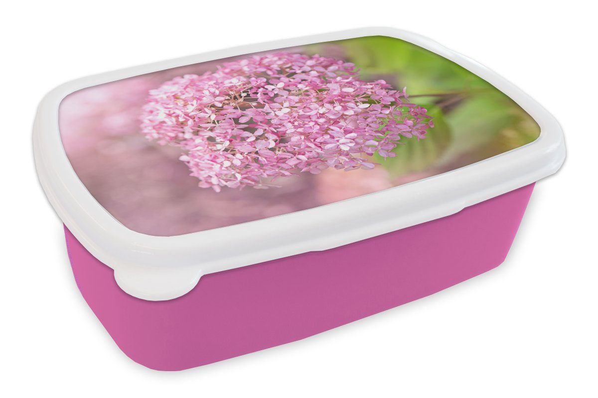 Lunchbox Hortensie, rosa Nahaufnahme Kunststoff, für Kinder, einer Mädchen, Brotdose MuchoWow Kunststoff Brotbox Erwachsene, Snackbox, (2-tlg),