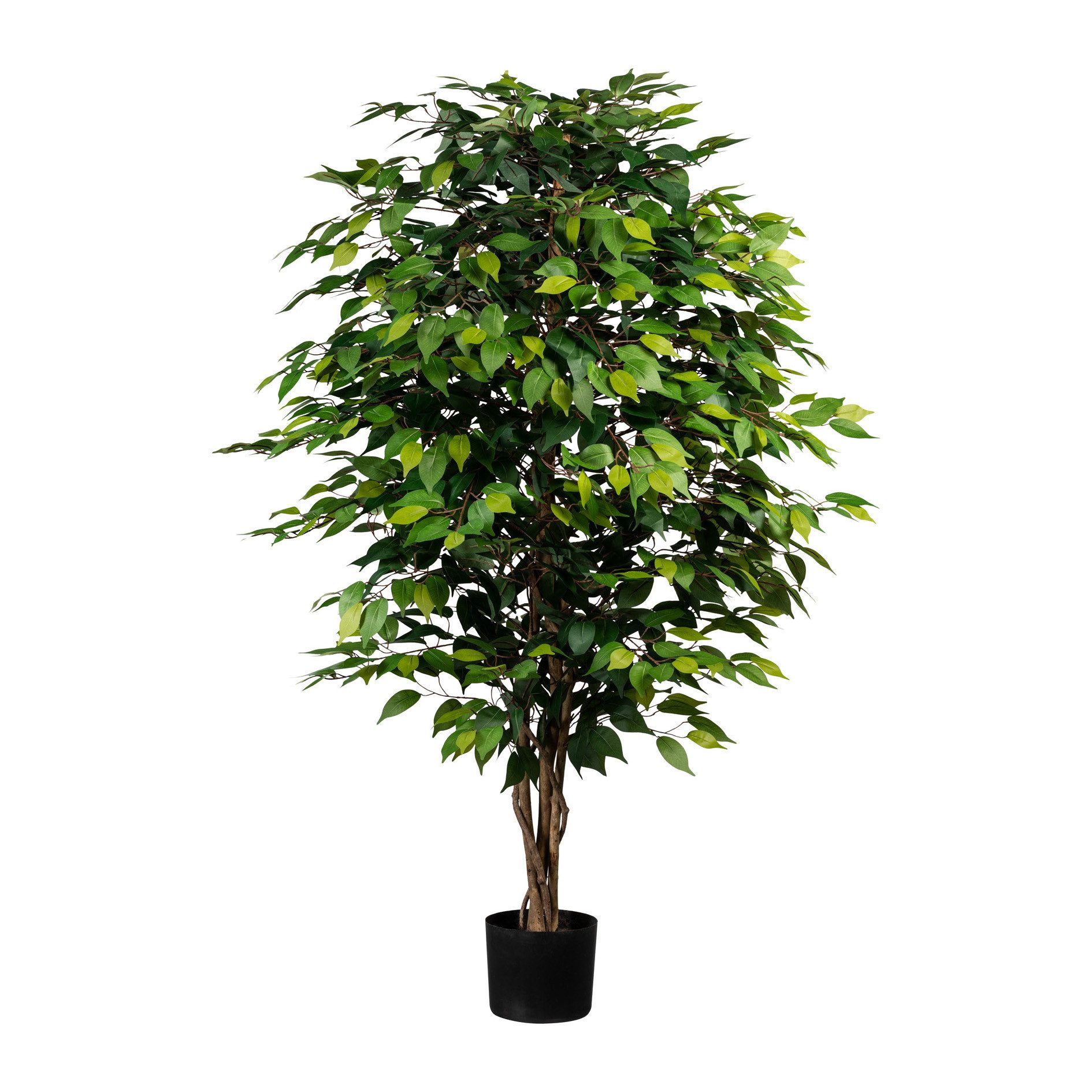 Kunstpflanze Künstlicher Ficus Benjamini 150cm