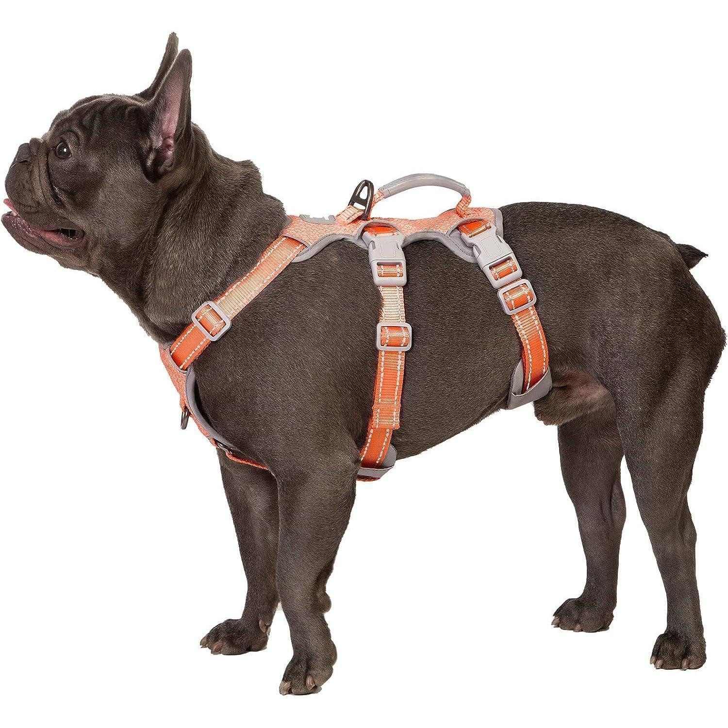 LuxusKollektion Hunde-Sicherheitsgeschirr Hundegeschirr Ausbruchsicher Orange S, Textil