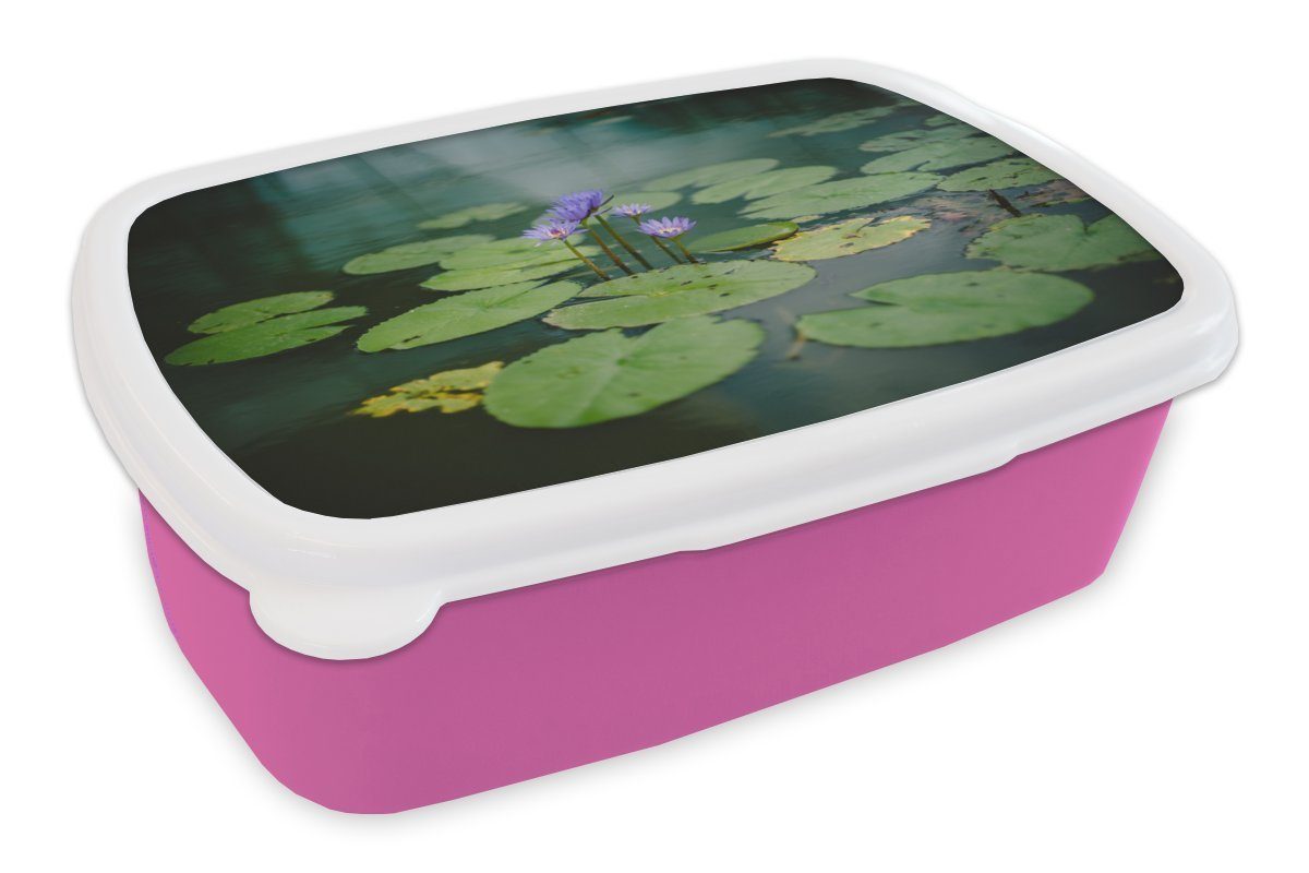 MuchoWow Lunchbox Blumen - Blätter - Mehr, Kunststoff, (2-tlg), Brotbox für Erwachsene, Brotdose Kinder, Snackbox, Mädchen, Kunststoff rosa | Lunchboxen