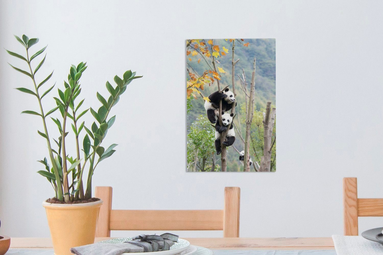OneMillionCanvasses® Leinwandbild Panda - Baum Äste, - fertig Leinwandbild Zackenaufhänger, cm St), bespannt (1 20x30 Gemälde, inkl