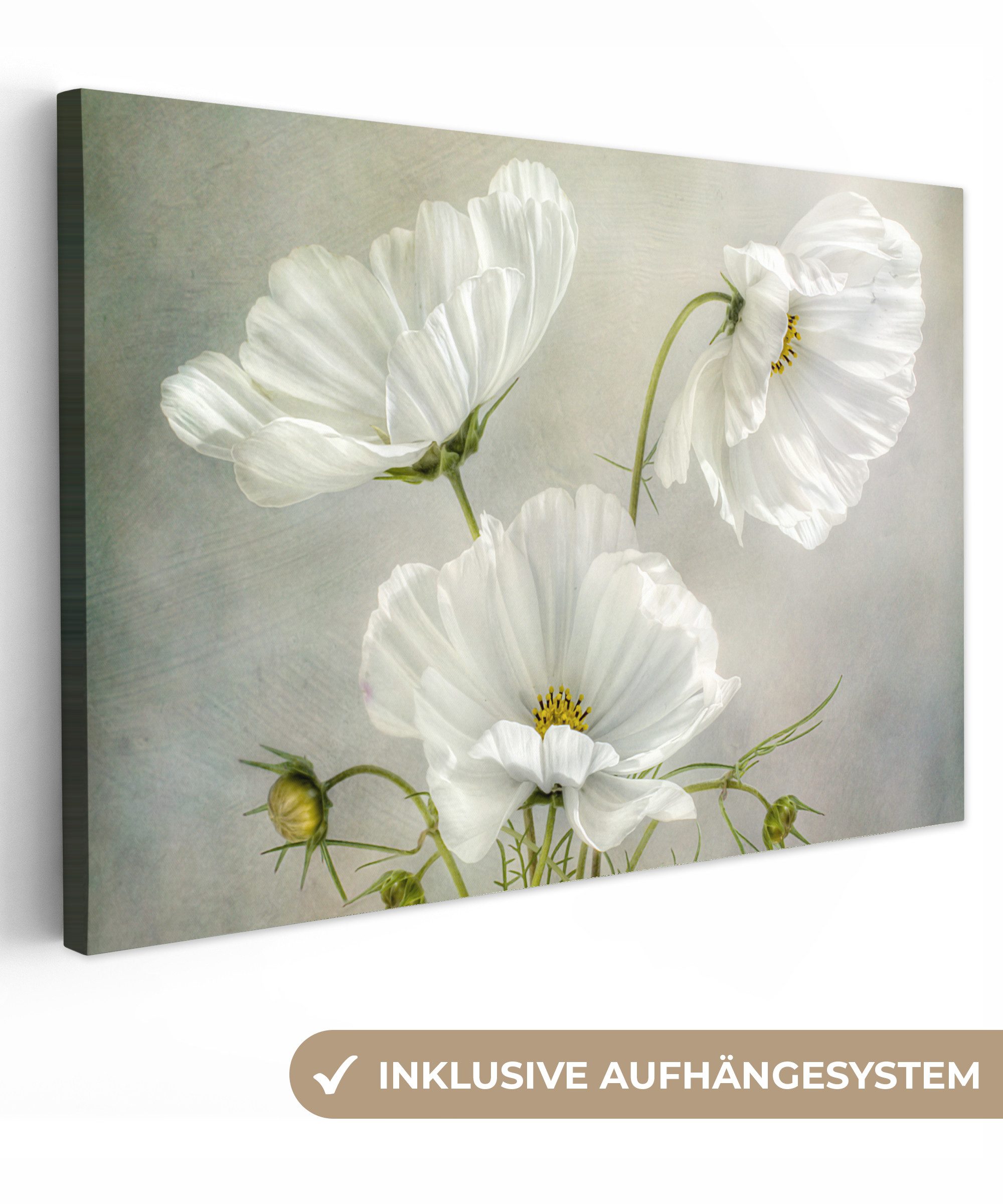 OneMillionCanvasses® Leinwandbild Blumen - Stillleben - Mohn - Weiß - Botan günstig online kaufen