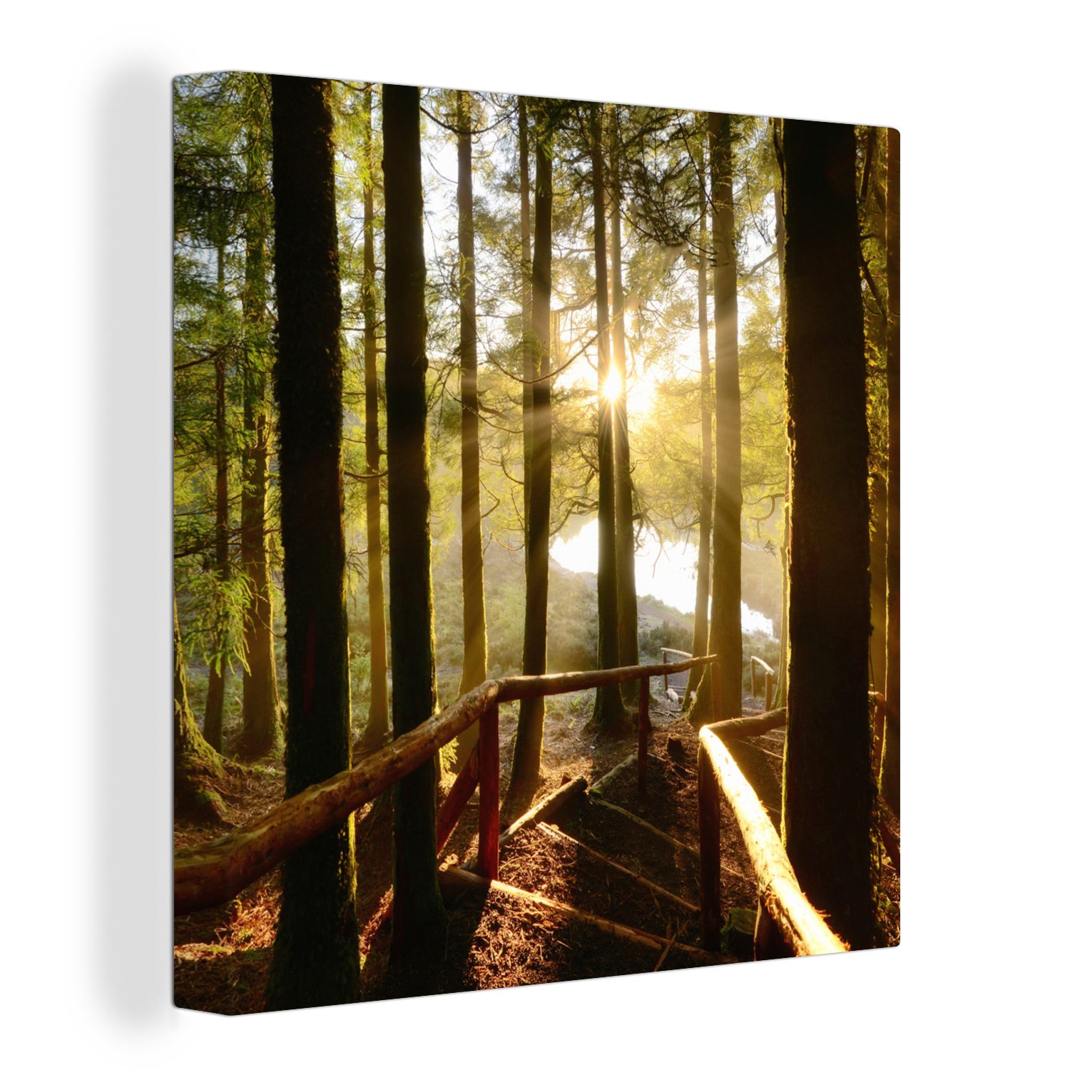 OneMillionCanvasses® Leinwandbild Azoren - Treppe - Wald, (1 St), Leinwand Bilder für Wohnzimmer Schlafzimmer