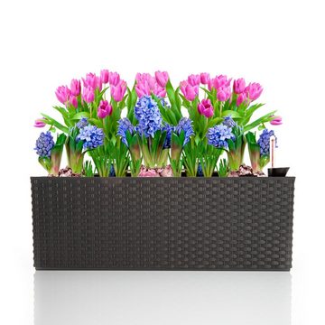 BigDean Blumenkasten Pflanzkasten rechteckig 50x19x18,5 cm mit Bewässerungssystem