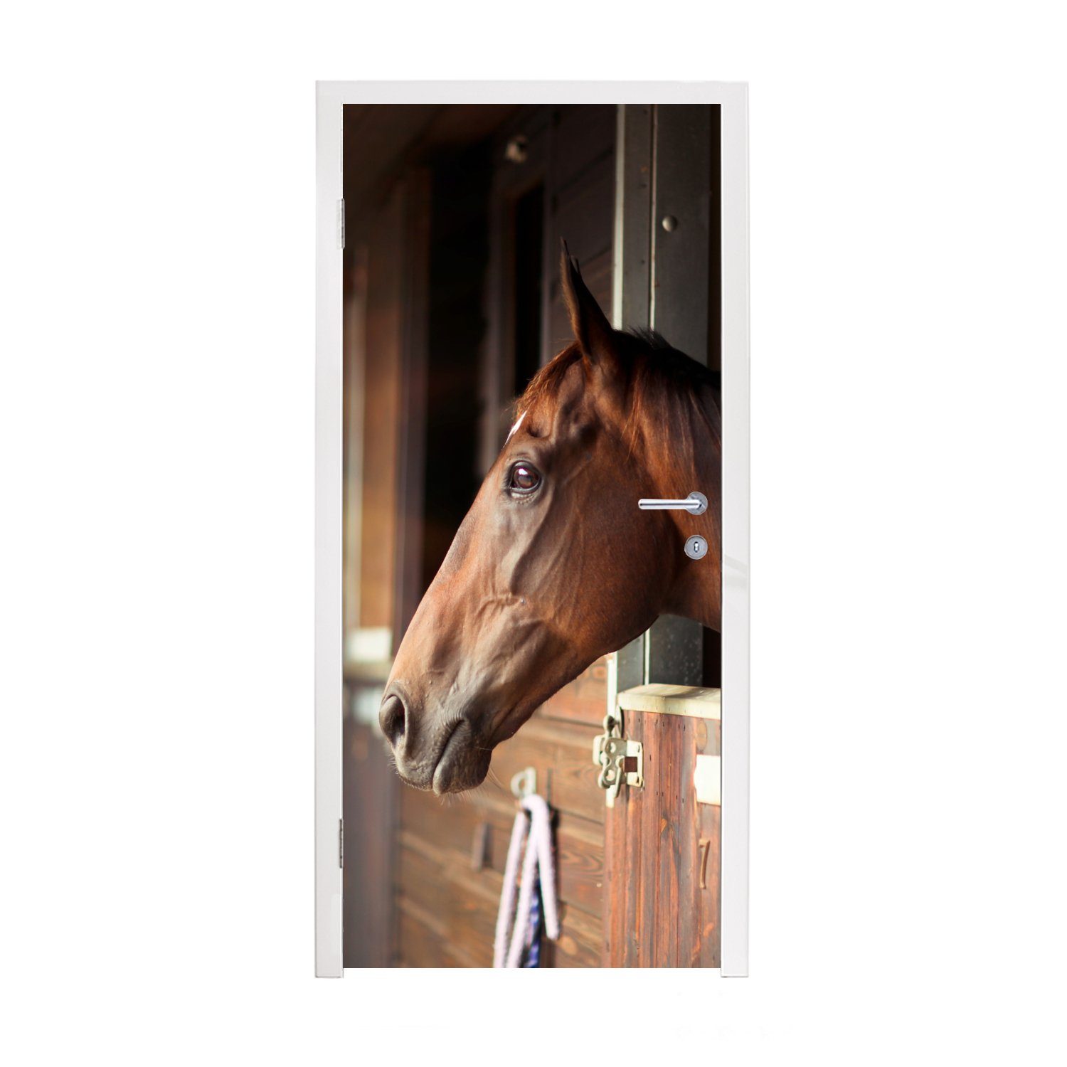 MuchoWow Türtapete Pferd - Stall - Sonne, Matt, bedruckt, (1 St), Fototapete für Tür, Türaufkleber, 75x205 cm