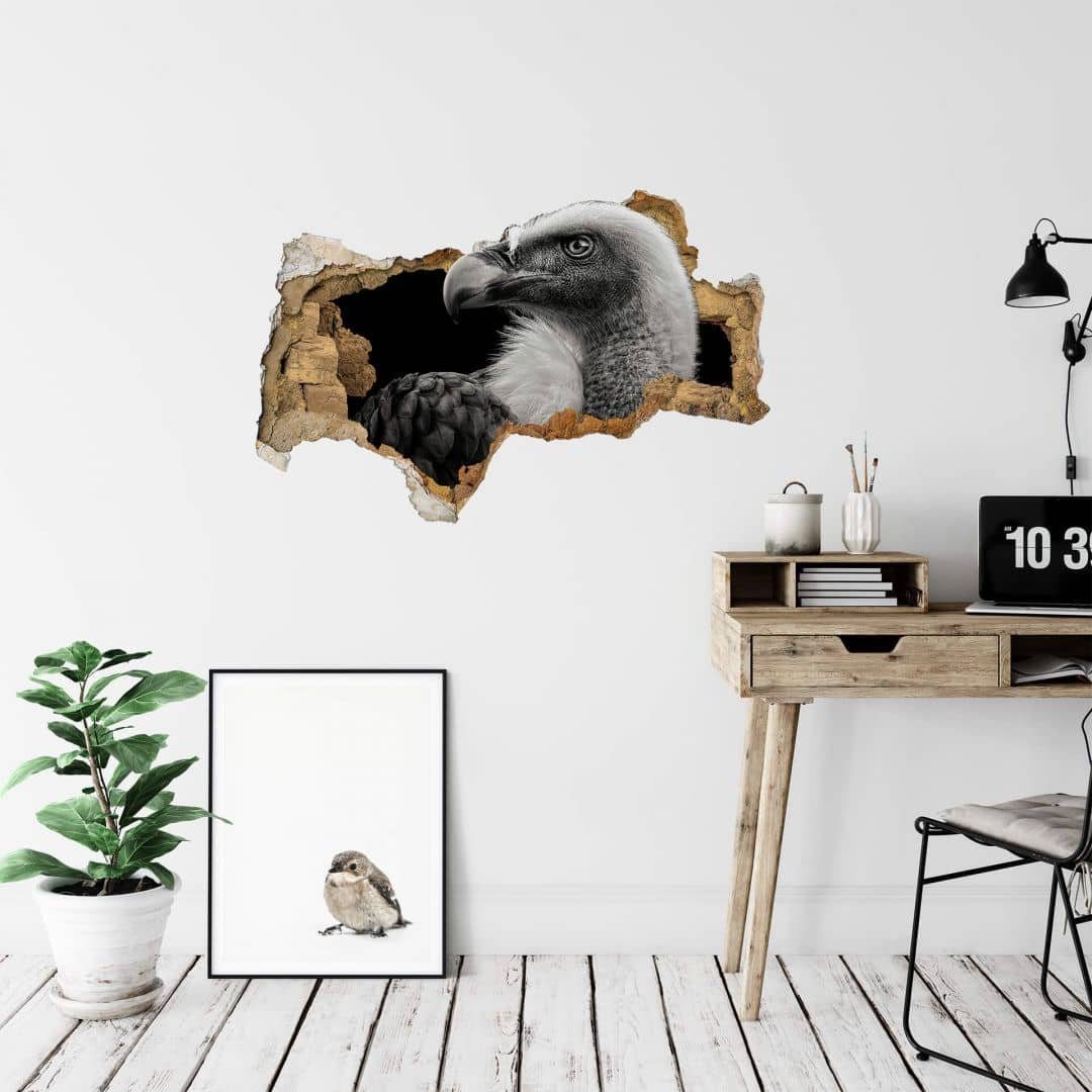K&L Wall Art Wandtattoo 3D Wandtattoo Meermann Safari Tiere Geier