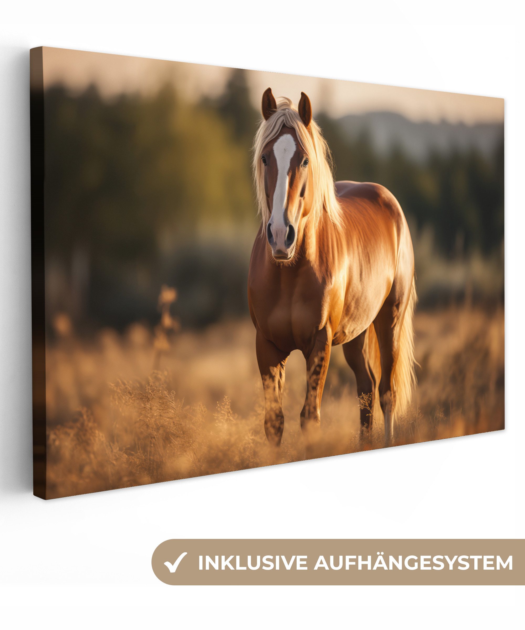 OneMillionCanvasses® Leinwandbild Pferd - Braun - Natur - Weide - Tier, Fot günstig online kaufen