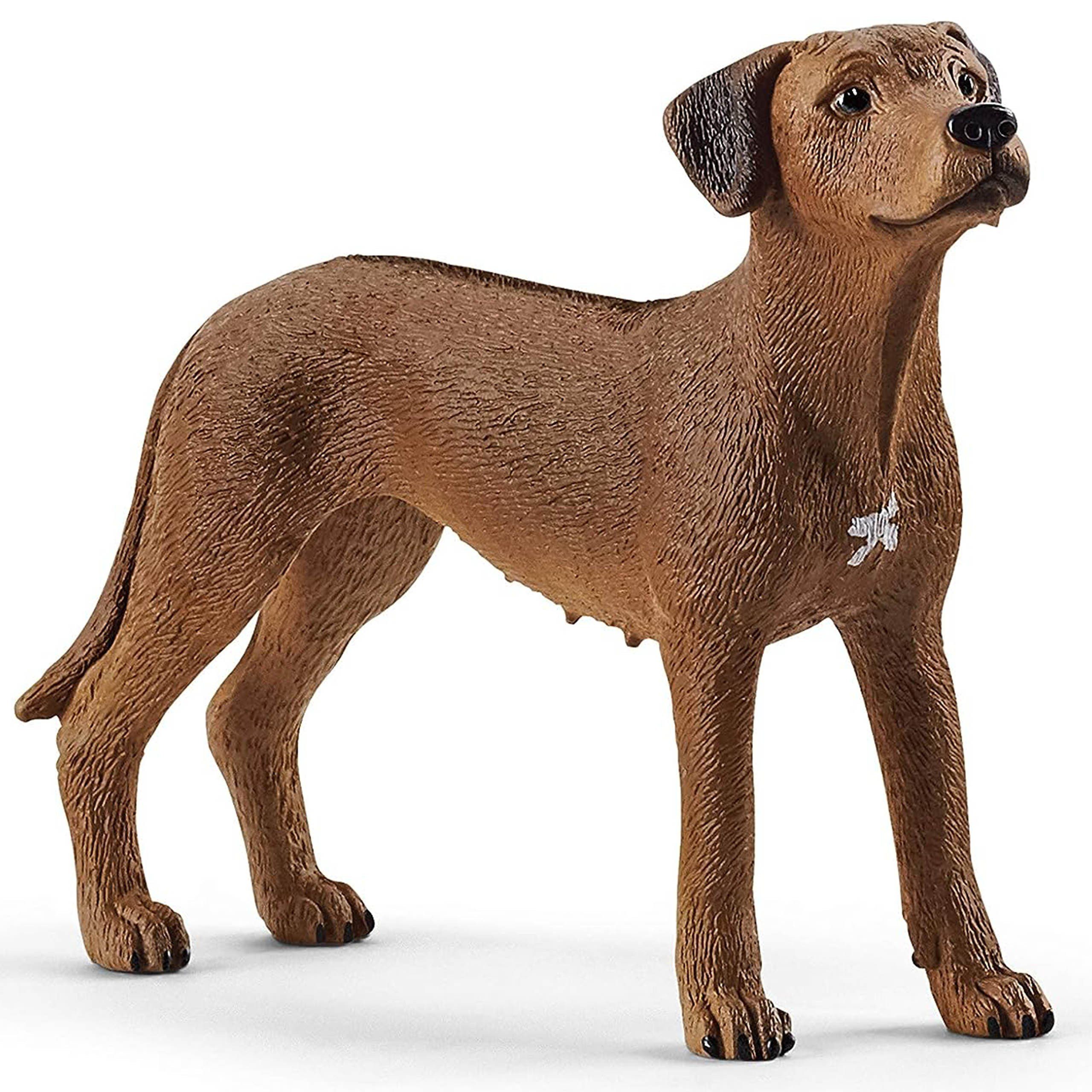 Spielfigur Schleich Farm World - Rhodesian Ridgeback Hund, Figur für Kinder 3+
