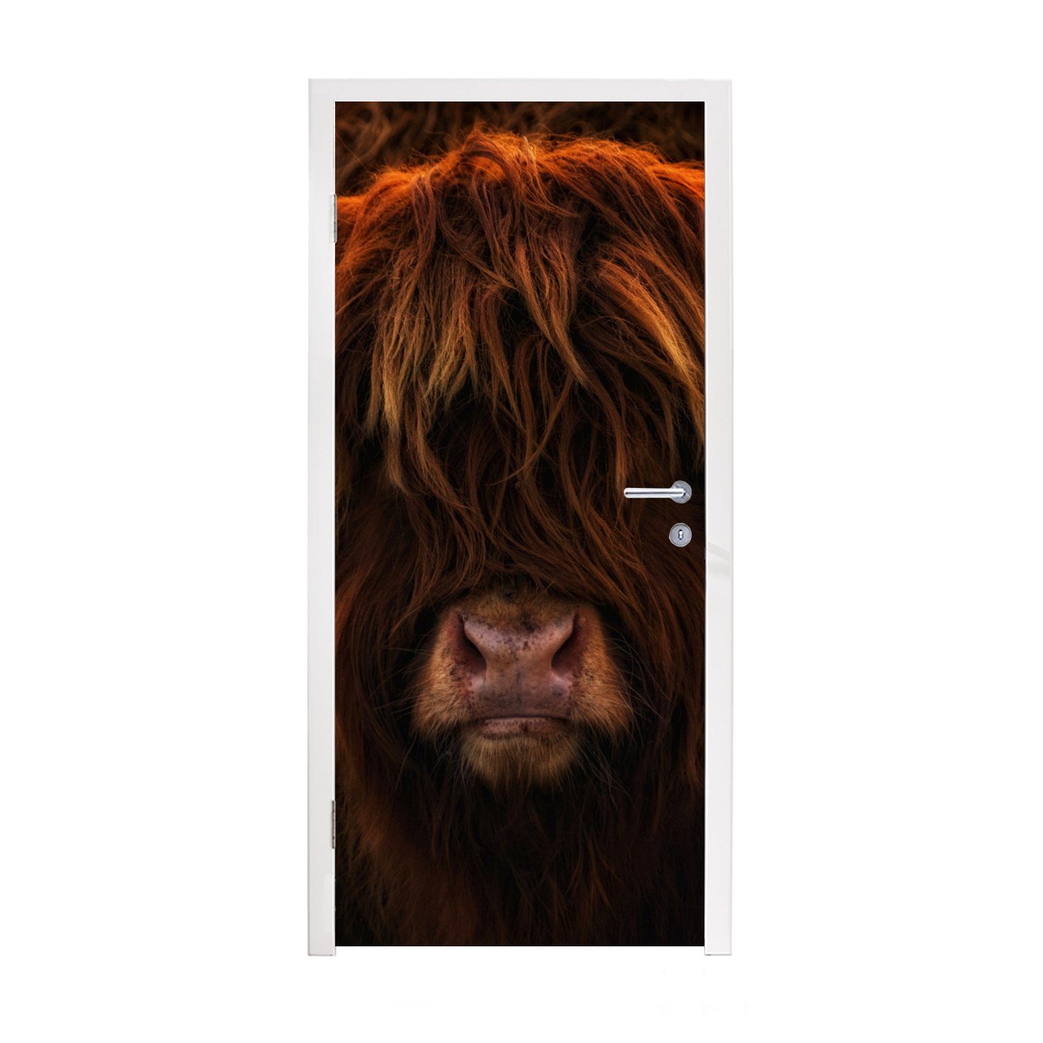 MuchoWow Türtapete Schottischer Highlander - Leicht - Tier, Matt, bedruckt, (1 St), Fototapete für Tür, Türaufkleber, 75x205 cm | Türtapeten