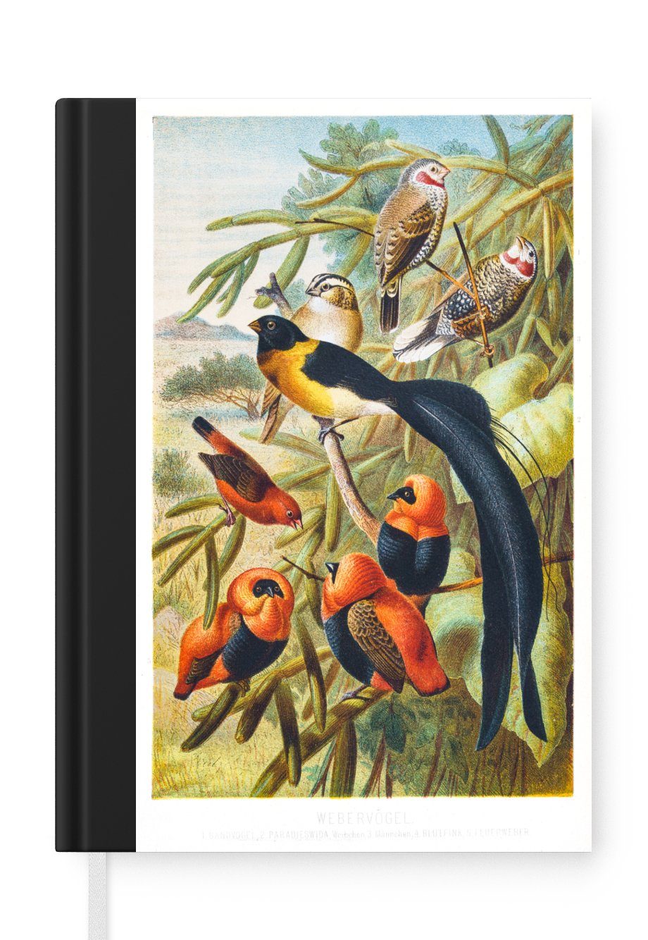 MuchoWow Notizbuch Antiker Vogeldruck Vögel in Harmonie, Journal, Merkzettel, Tagebuch, Notizheft, A5, 98 Seiten, Haushaltsbuch