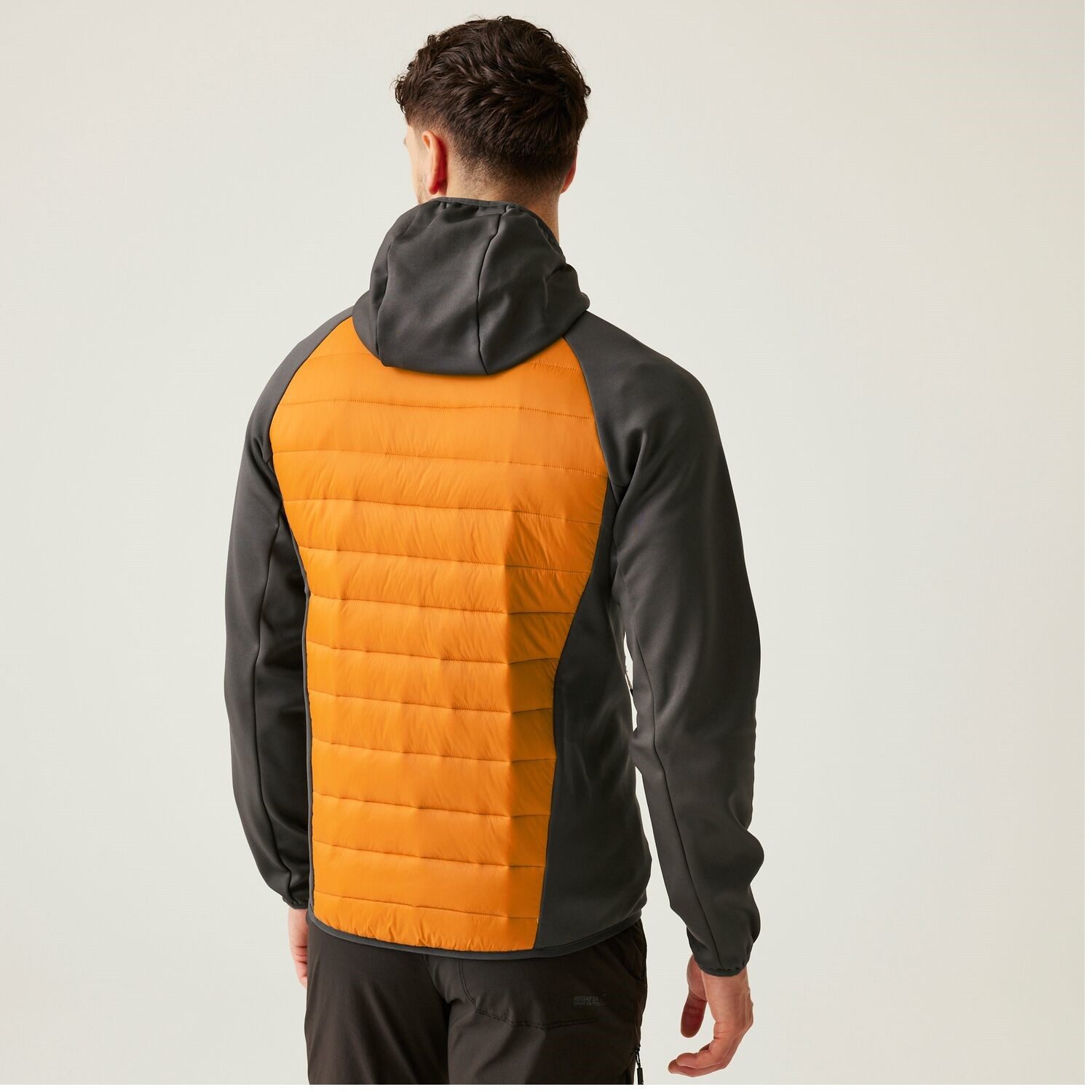 Regatta Softshelljacke Hybrid Steppjacke Andreson VIII Hybrid