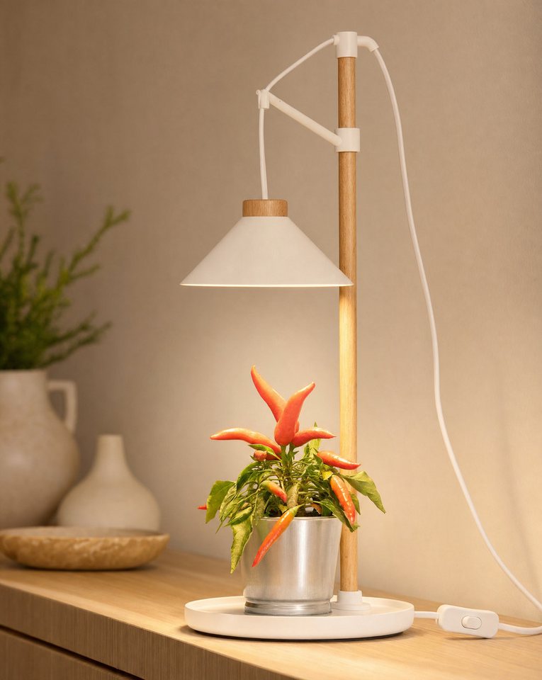 Northpoint Pflanzenlampe LED Pflanzenleuchte Kräutergarten aus Echtholz 9W 550 Lumen Timer
