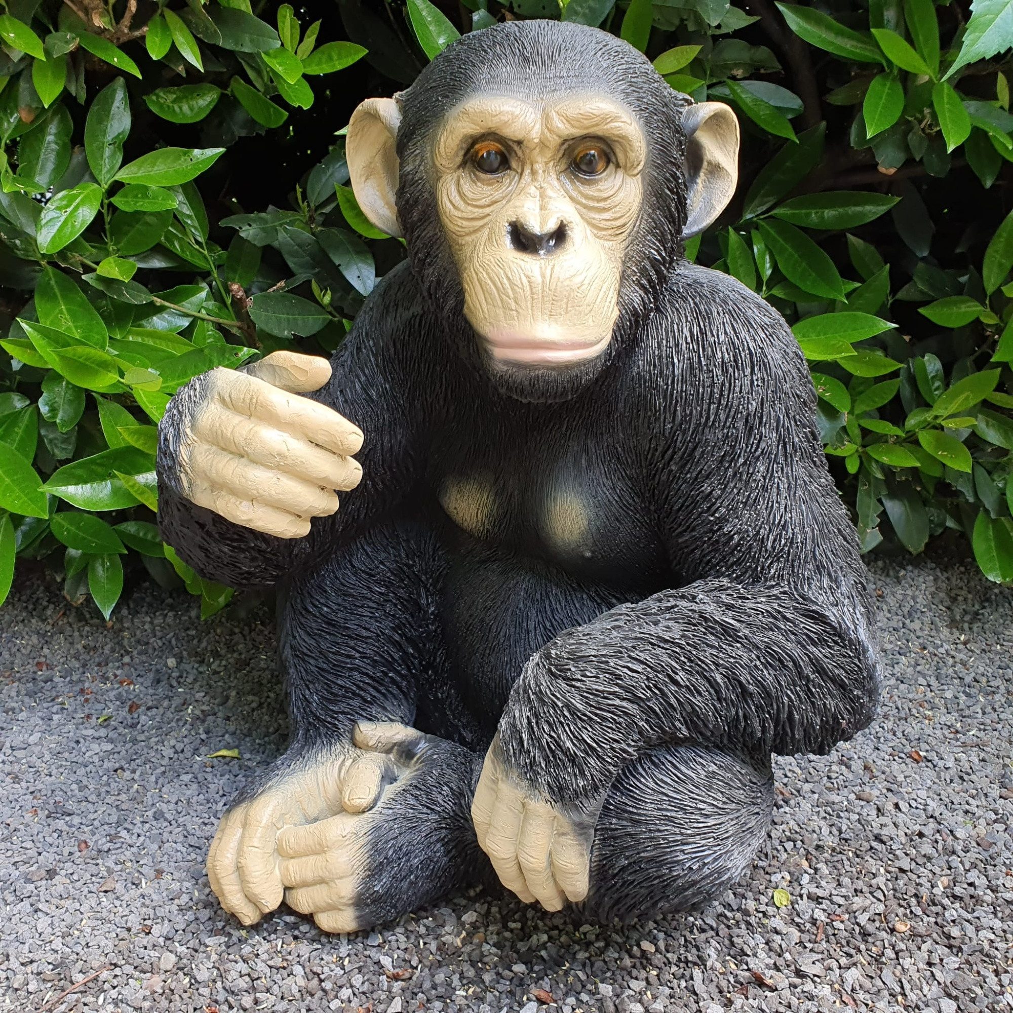 Aspinaworld Gartenfigur siezende Schimpansen Figur Arm oben 51 cm
