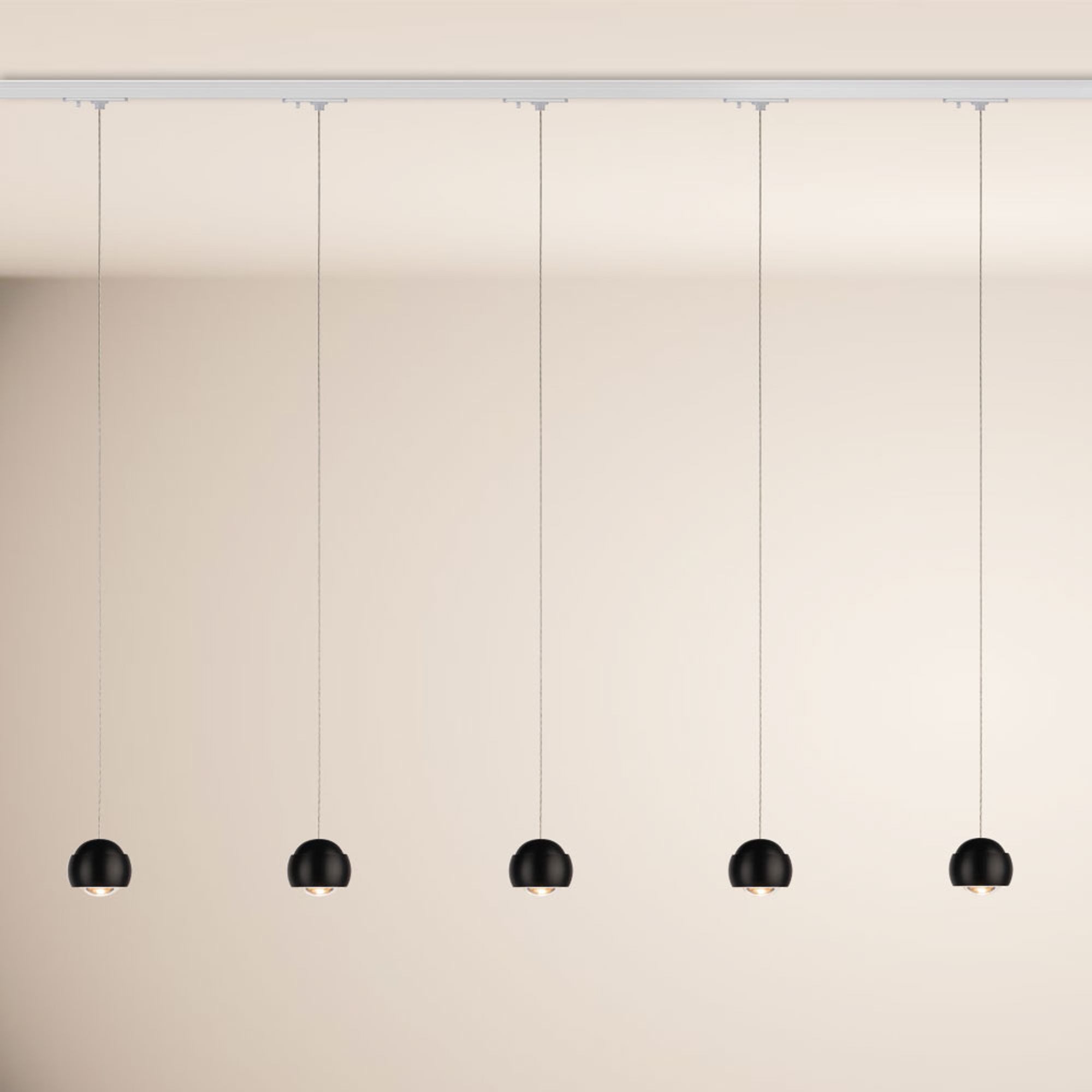 s.luce Pendelleuchte Beam LED 1-Phase-Schiene 200cm Esszimmerlampe Endeinspeiser Schwarz, Warmweiß