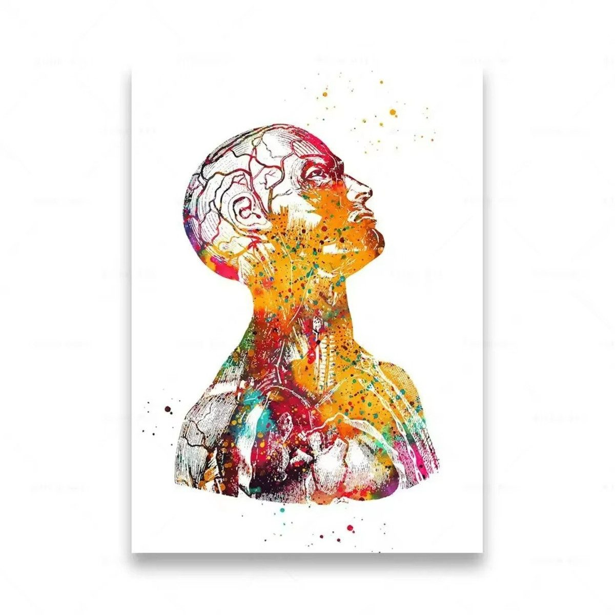 TPFLiving Kunstdruck (OHNE RAHMEN) Poster - Leinwand - Wandbild, Menschliche Anatomie, Wirbelsäule, Herz, Gehirn, Zähne, HD-Leinwand (Leinwandbild XXL), Farben: Orange, Rot, Blau, Schwarz, Weiß, Rosa -Größe: 30x40cm