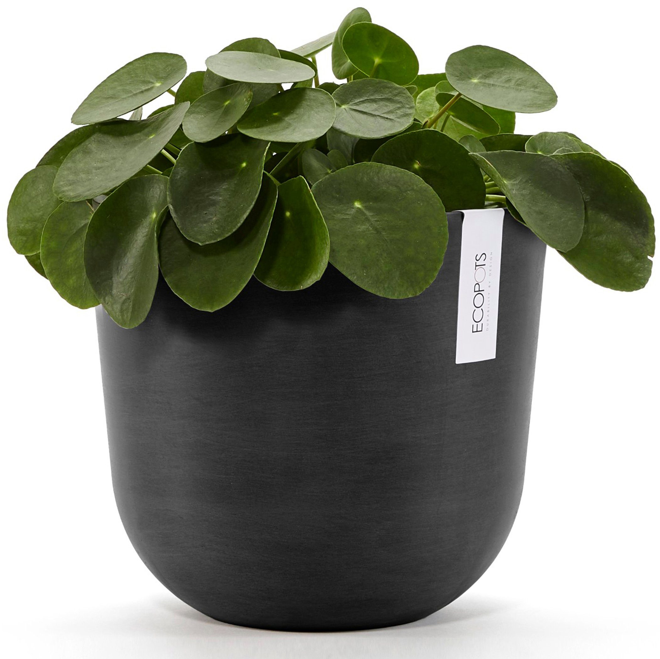 ECOPOTS Blumentopf Oslo 25 Dunkelgrau, für innen und außen: frostsicher, br günstig online kaufen