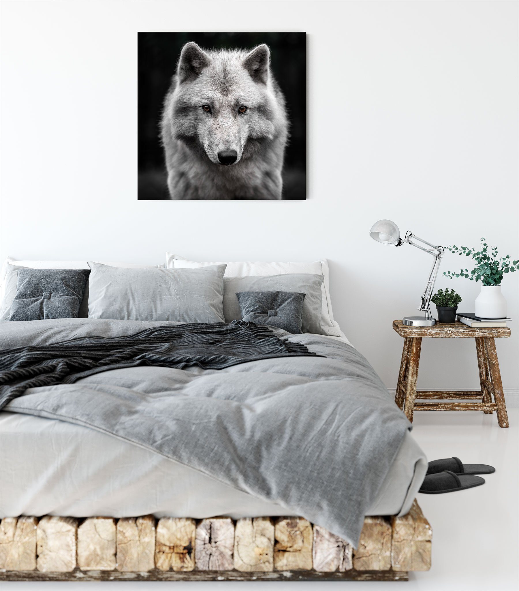 (1 Leinwandbild Nahaufnahme Nahaufnahme junger inkl. fertig Pixxprint Polarwolf junger Zackenaufhänger Polarwolf, Leinwandbild bespannt, St),