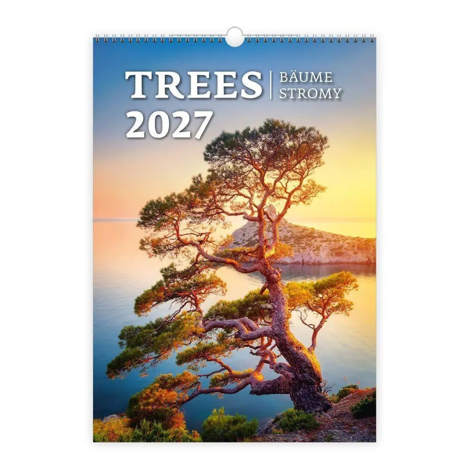 Trötsch Verlag Wandkalender TRÖTSCH - Wandkalender Trees 2027