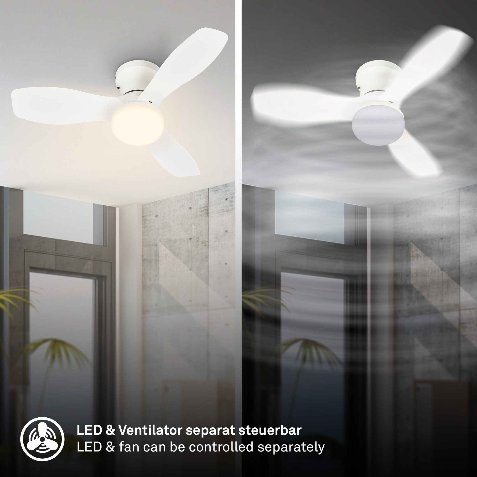 Briloner Leuchten LED Deckenleuchte mit Ventilator dimmbar CCT Deckenventilator mit Licht Schlafzimmer, LED fest integriert, CCT, 3000-6500K, 78x26 cm, Schlafzimmer, Wohnzimmer, Esszimmer, Flur, Küche