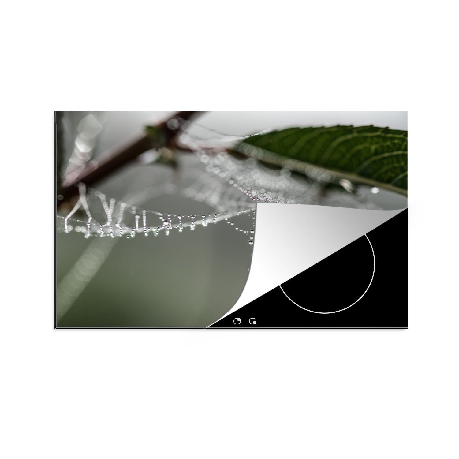 MuchoWow Herdblende-/Abdeckplatte Herbst - Spinnennetz - Tropfen, Vinyl, (1 tlg), 81x52 cm, Induktionskochfeld Schutz für die küche, Ceranfeldabdeckung