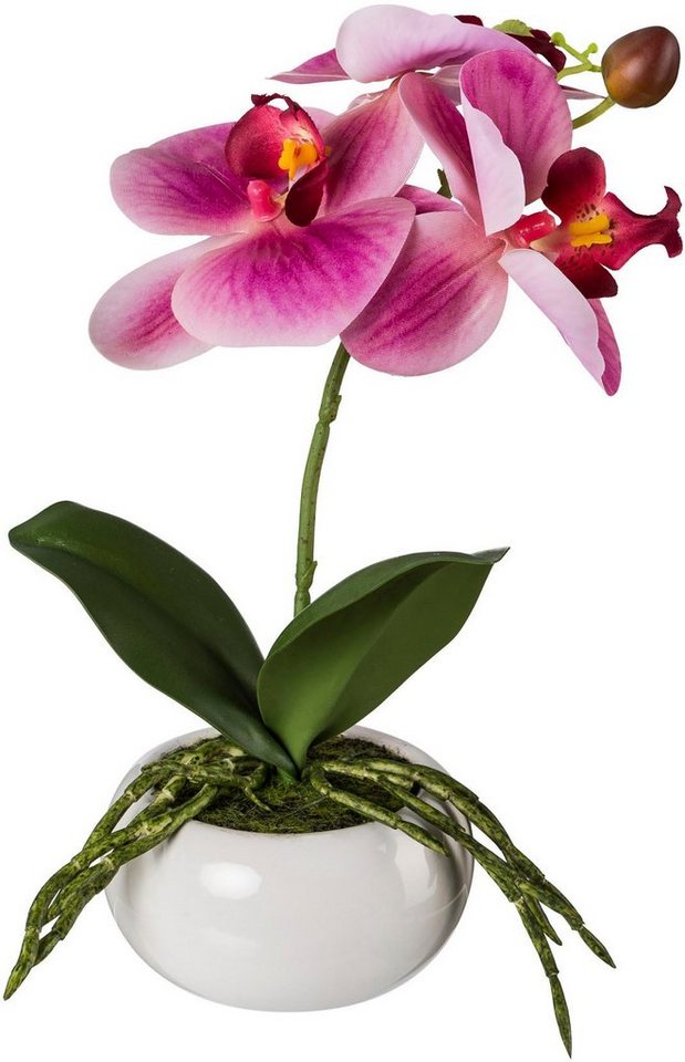 mit in Kunstorchidee Phalaenopsis, cm, Orchidee Phalaenopsis Keramikschale Creativ Höhe green, Real-Touch-Blüten 27