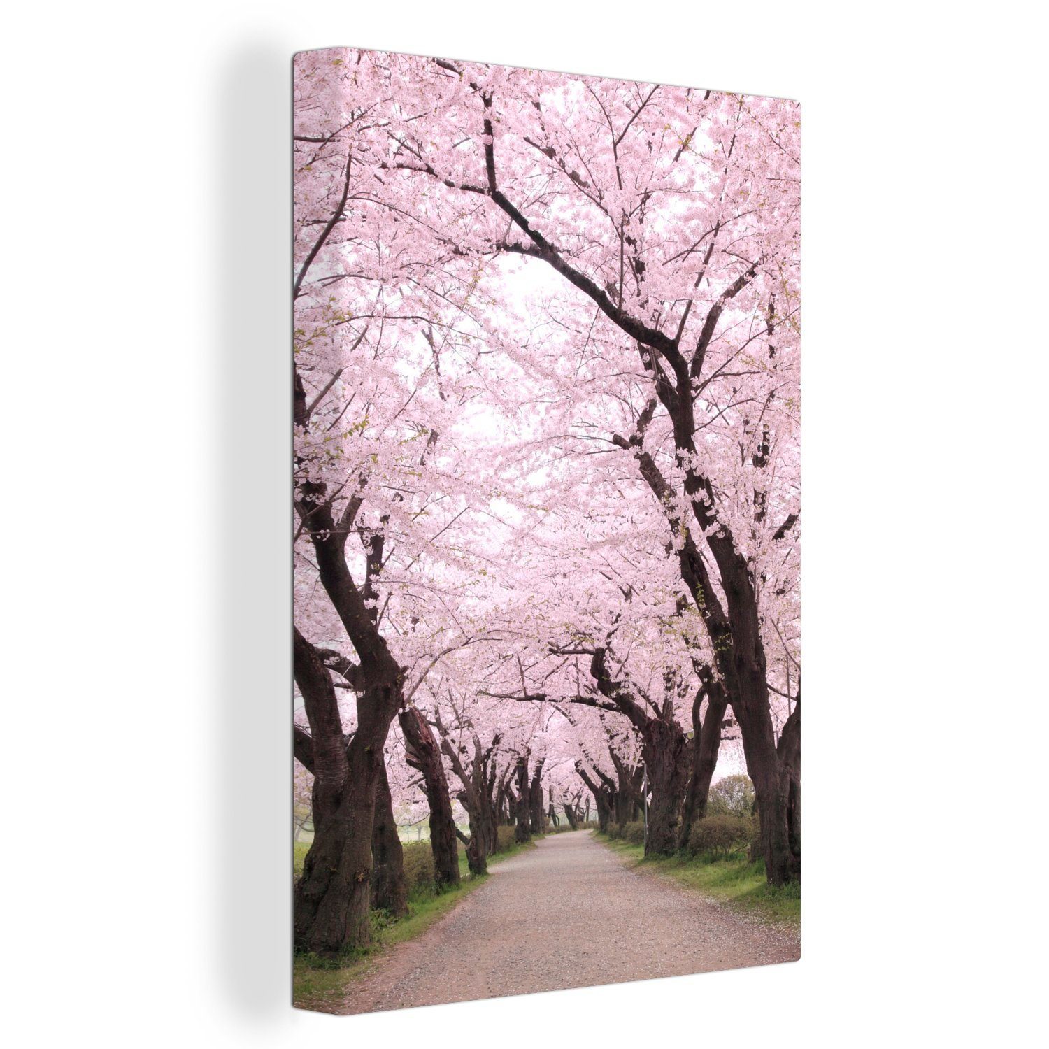 OneMillionCanvasses® Leinwandbild Kirschblüte am Straßenrand, (1 St), Leinwandbild fertig bespannt inkl. Zackenaufhänger, Gemälde, 20x30 cm