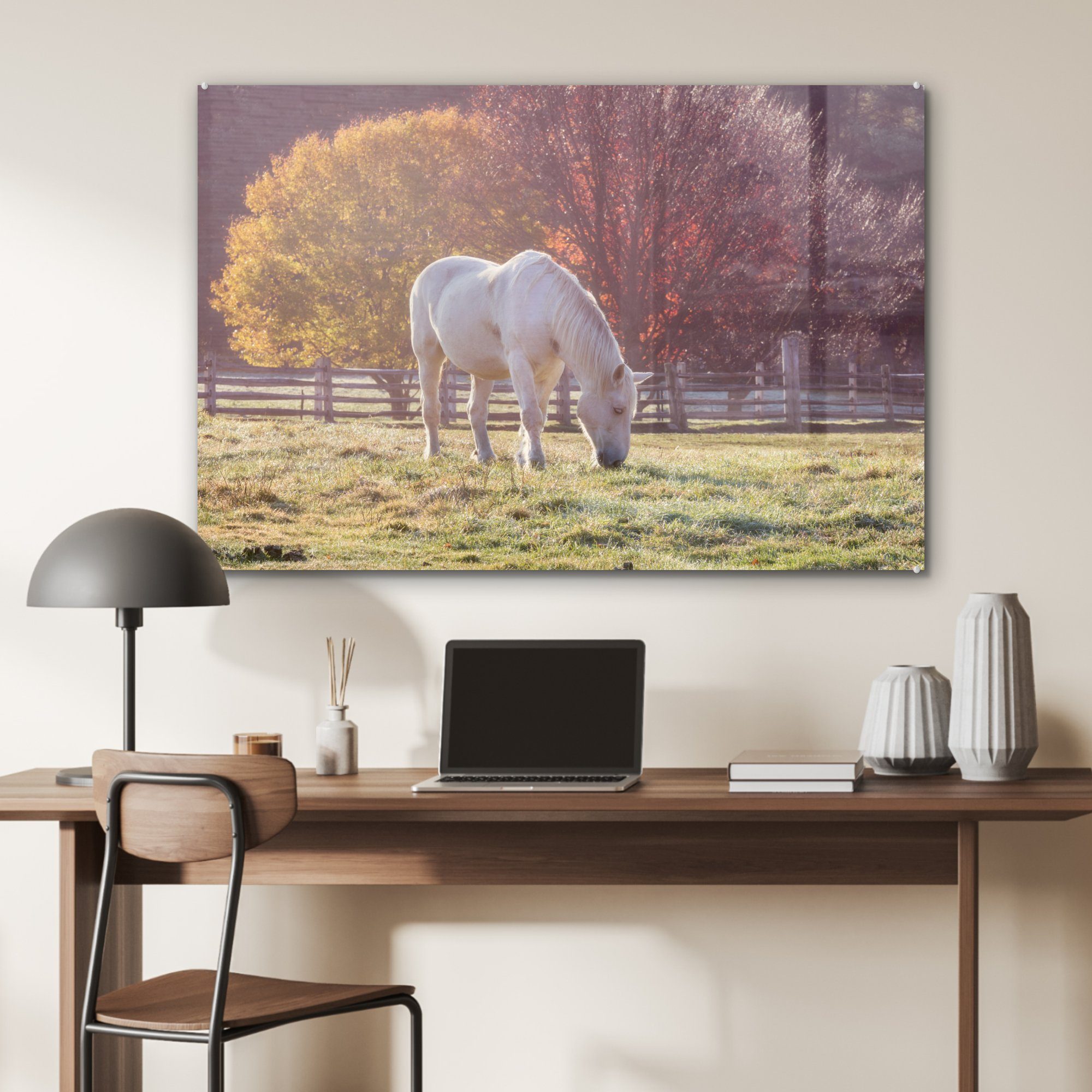 (1 Vermont, Schlafzimmer in Acrylglasbilder Wiese der Acrylglasbild Pferd auf St), MuchoWow & Wohnzimmer
