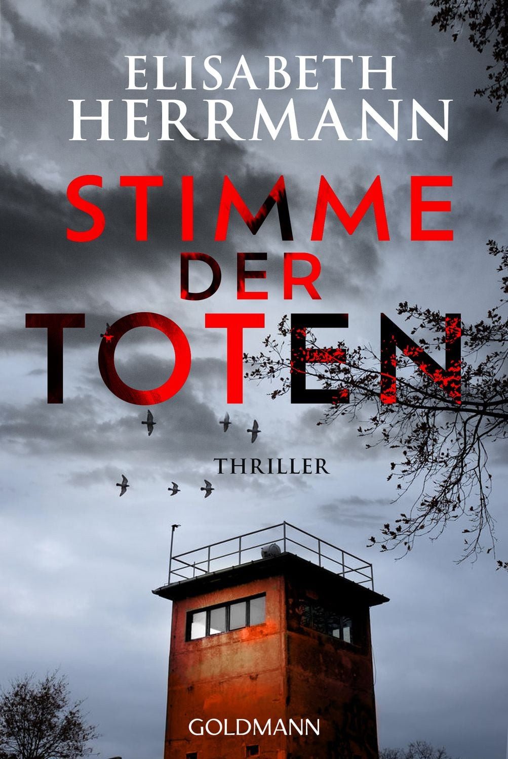 Belletristik Stimme der Toten Thriller Elisabeth Herrmann