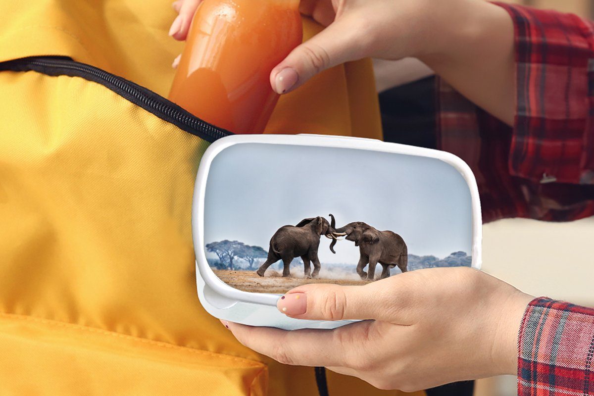 Kinder - MuchoWow Jungs Kunststoff, - weiß und Flachland Lunchbox und Brotbox - Tiere für Erwachsene, Mädchen (2-tlg), Elefant Natur, für Brotdose,