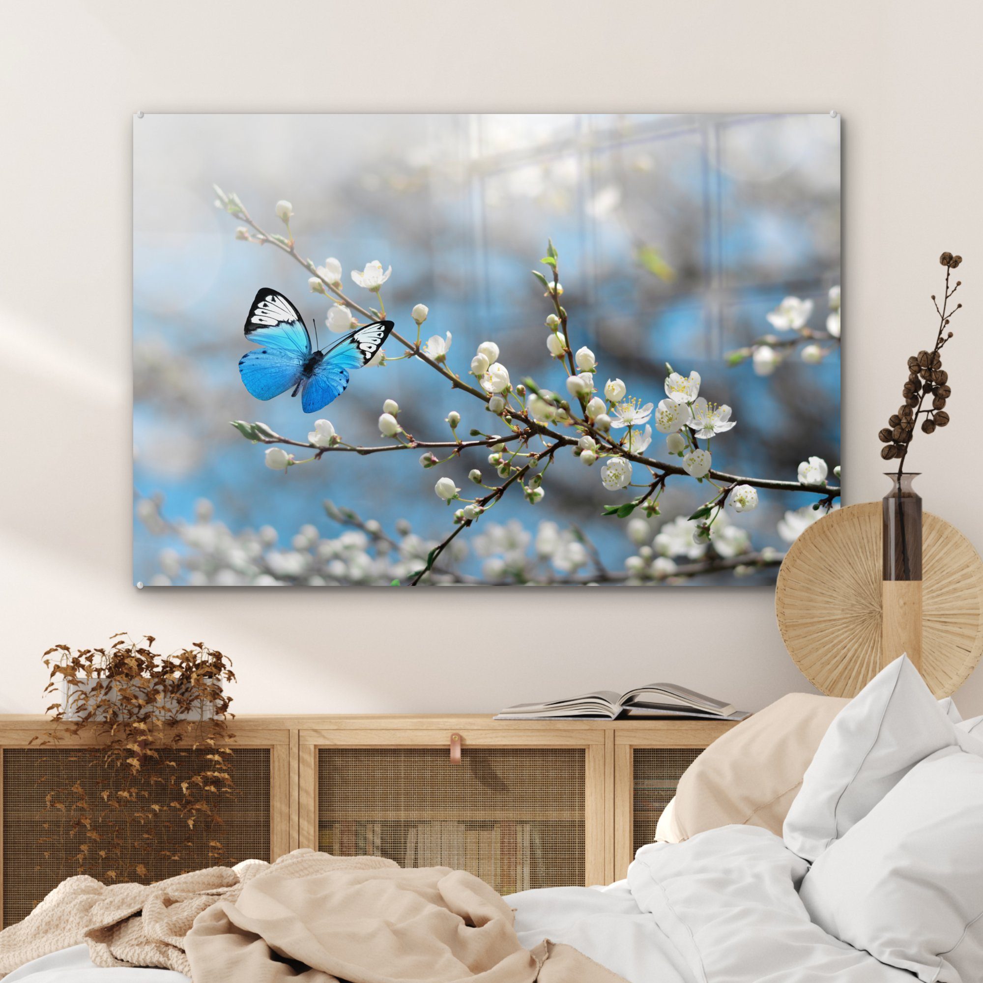 - MuchoWow Acrylglasbild St), Sakura Wohnzimmer & Frühling, Schlafzimmer Schmetterling (1 - Acrylglasbilder