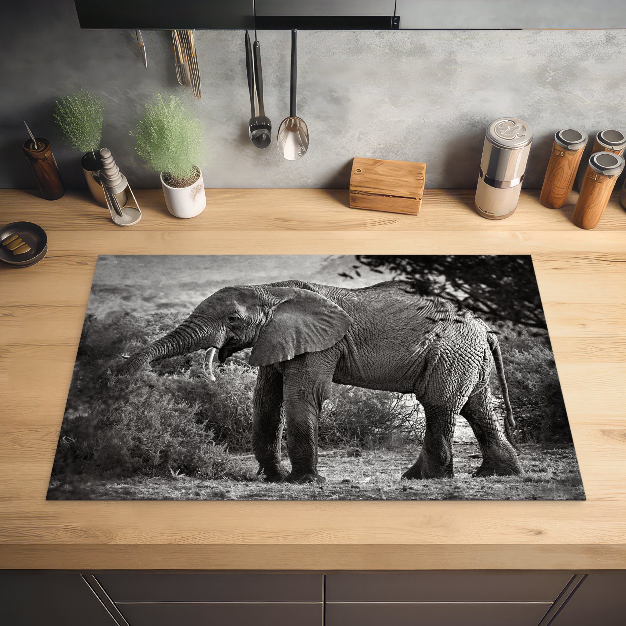 Vinyl, MuchoWow 81x52 Ceranfeldabdeckung Elefant Schutz (1 - Tiere Bäume küche, - für Schwarz tlg), - cm, Induktionskochfeld Weiß, Herdblende-/Abdeckplatte die -