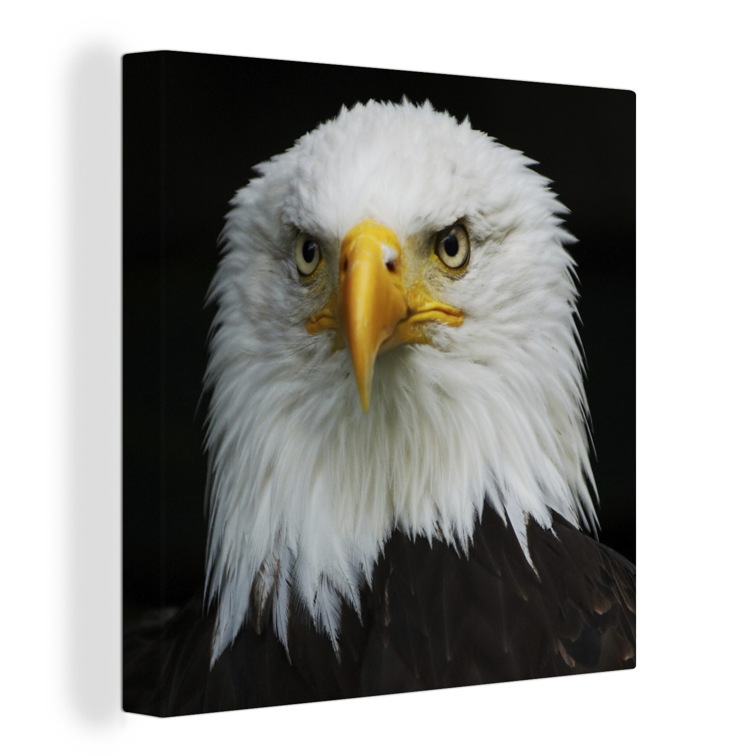 OneMillionCanvasses® Leinwandbild Adler - Schwarz - Weiß, (1 St), Leinwand Bilder für Wohnzimmer Schlafzimmer